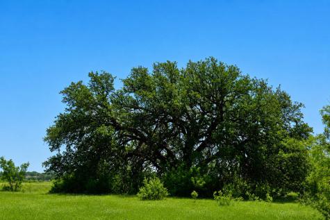 8228 Us Highway 377 Rochelle TX 76872