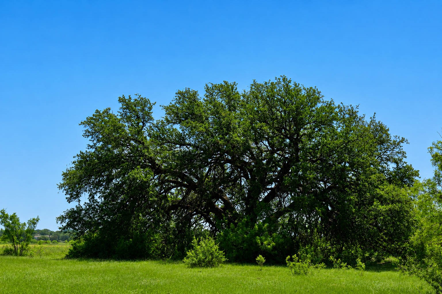 8228 Us Highway 377 Rochelle TX 76872