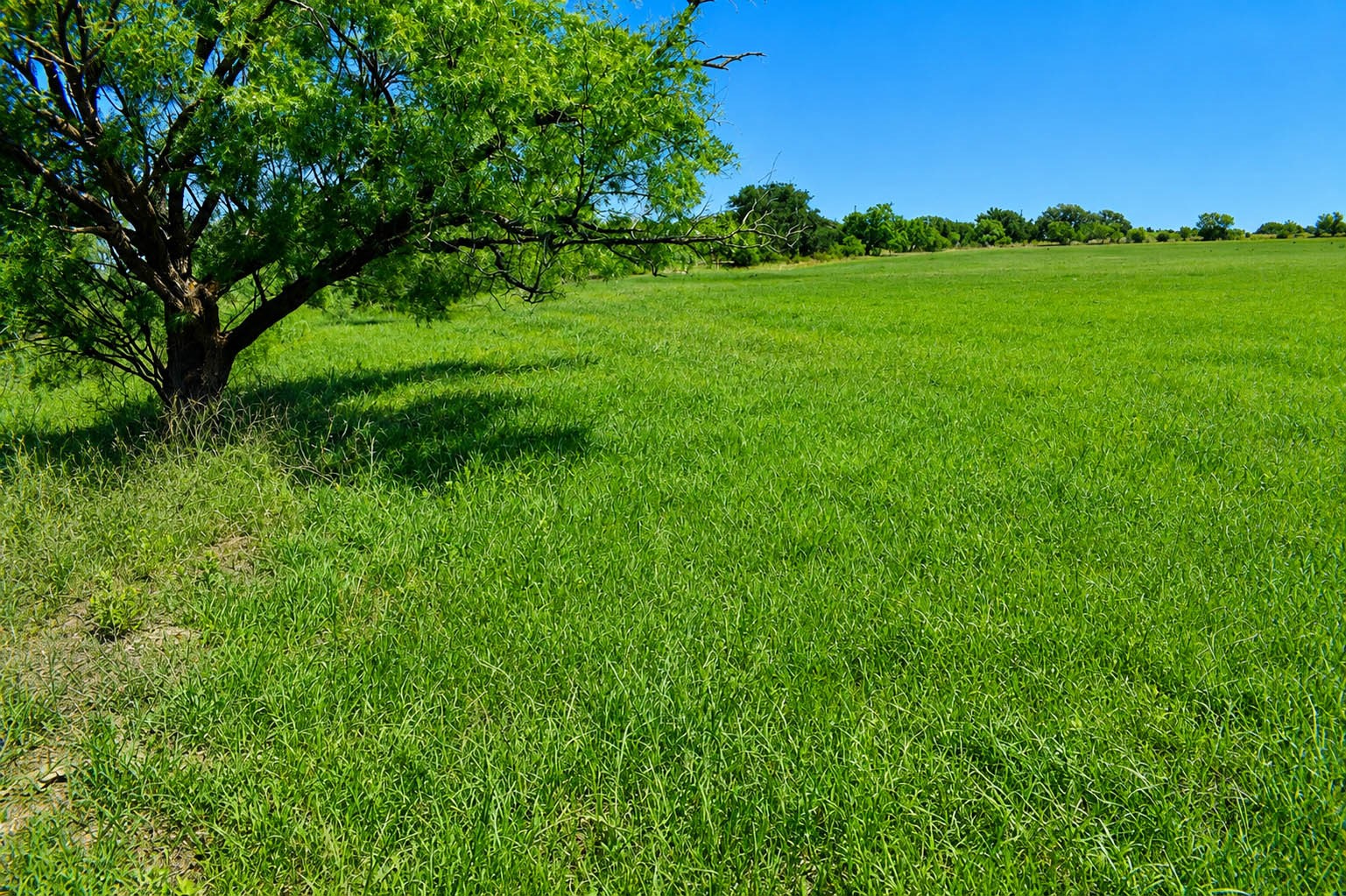 8228 Us Highway 377 Rochelle TX 76872