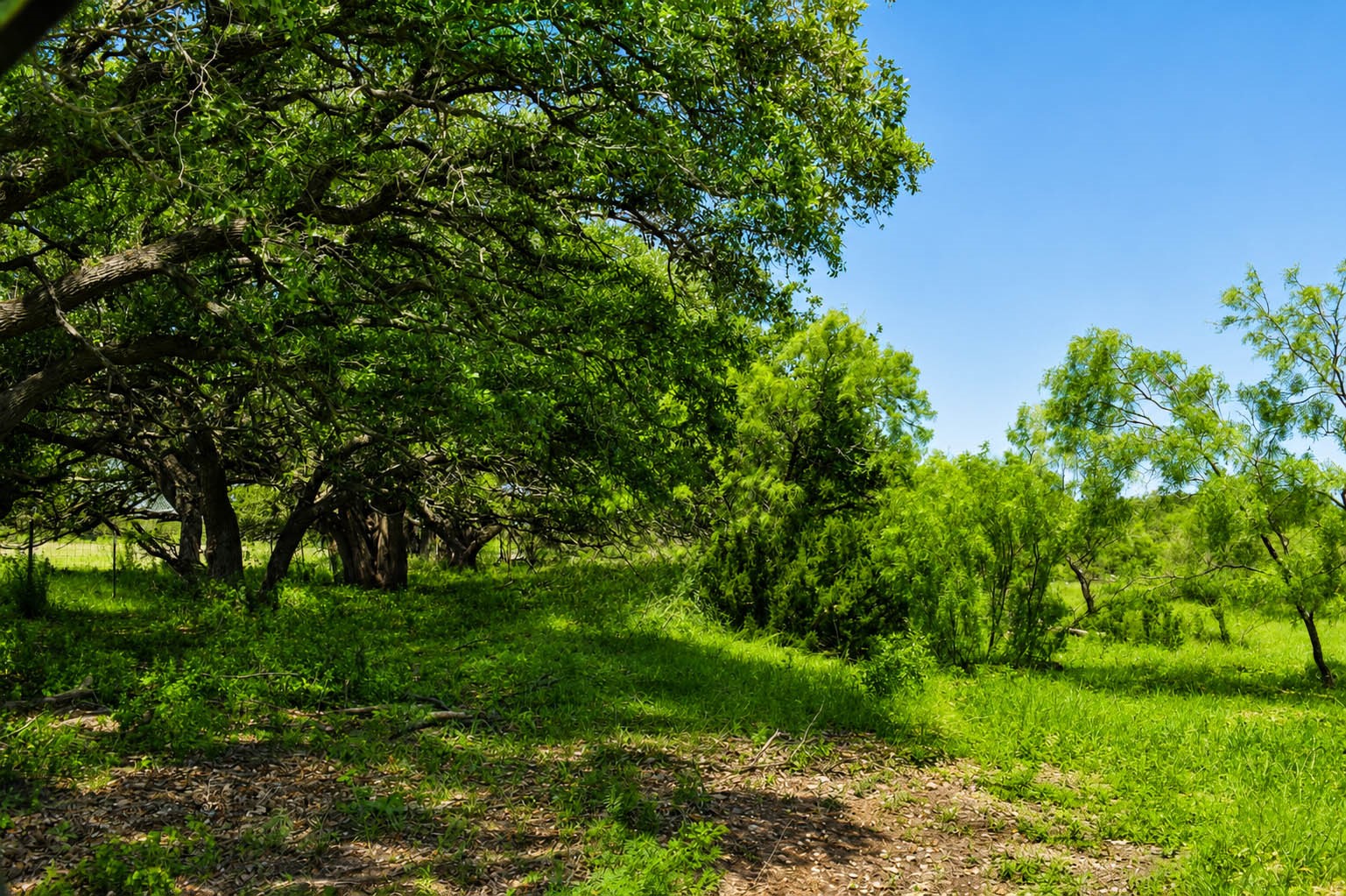 8228 Us Highway 377 Rochelle TX 76872