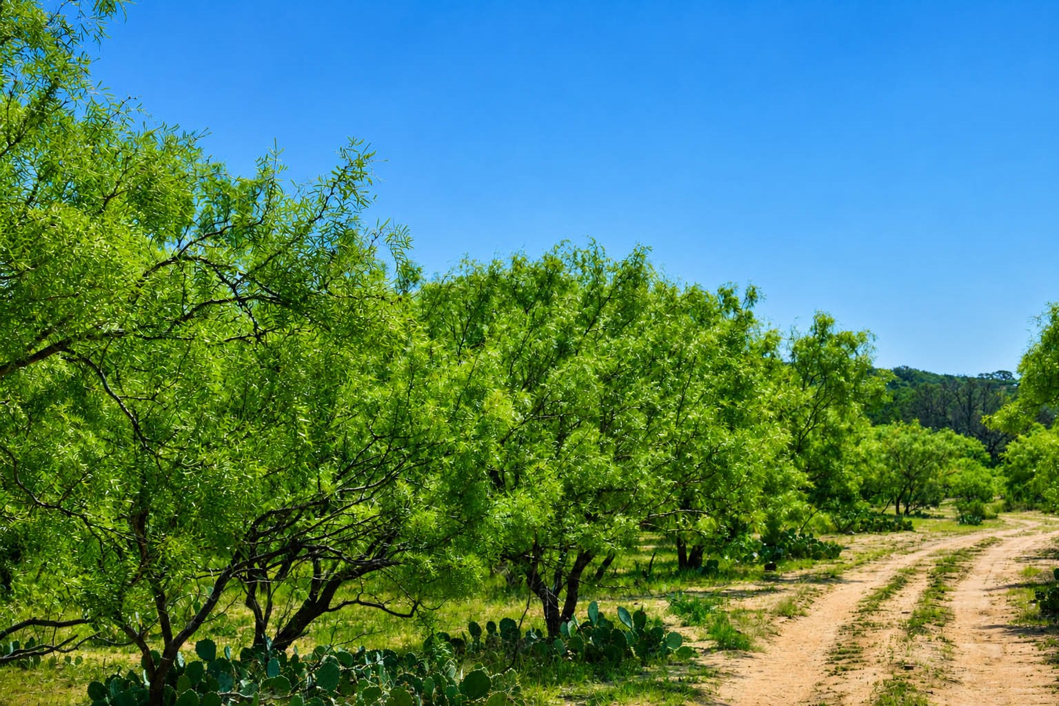 8228 Us Highway 377 Rochelle TX 76872