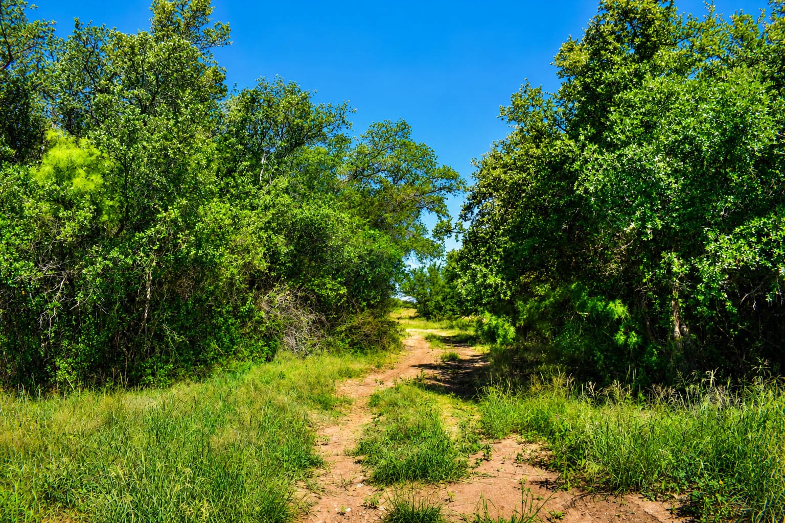 8228 Us Highway 377 Rochelle TX 76872