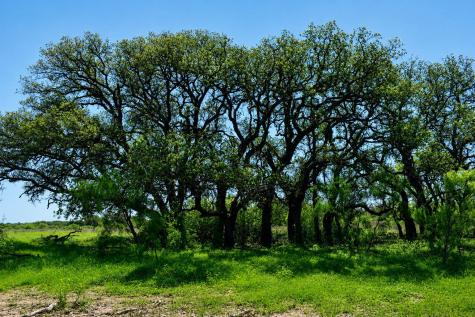 8228 Us Highway 377 Rochelle TX 76872