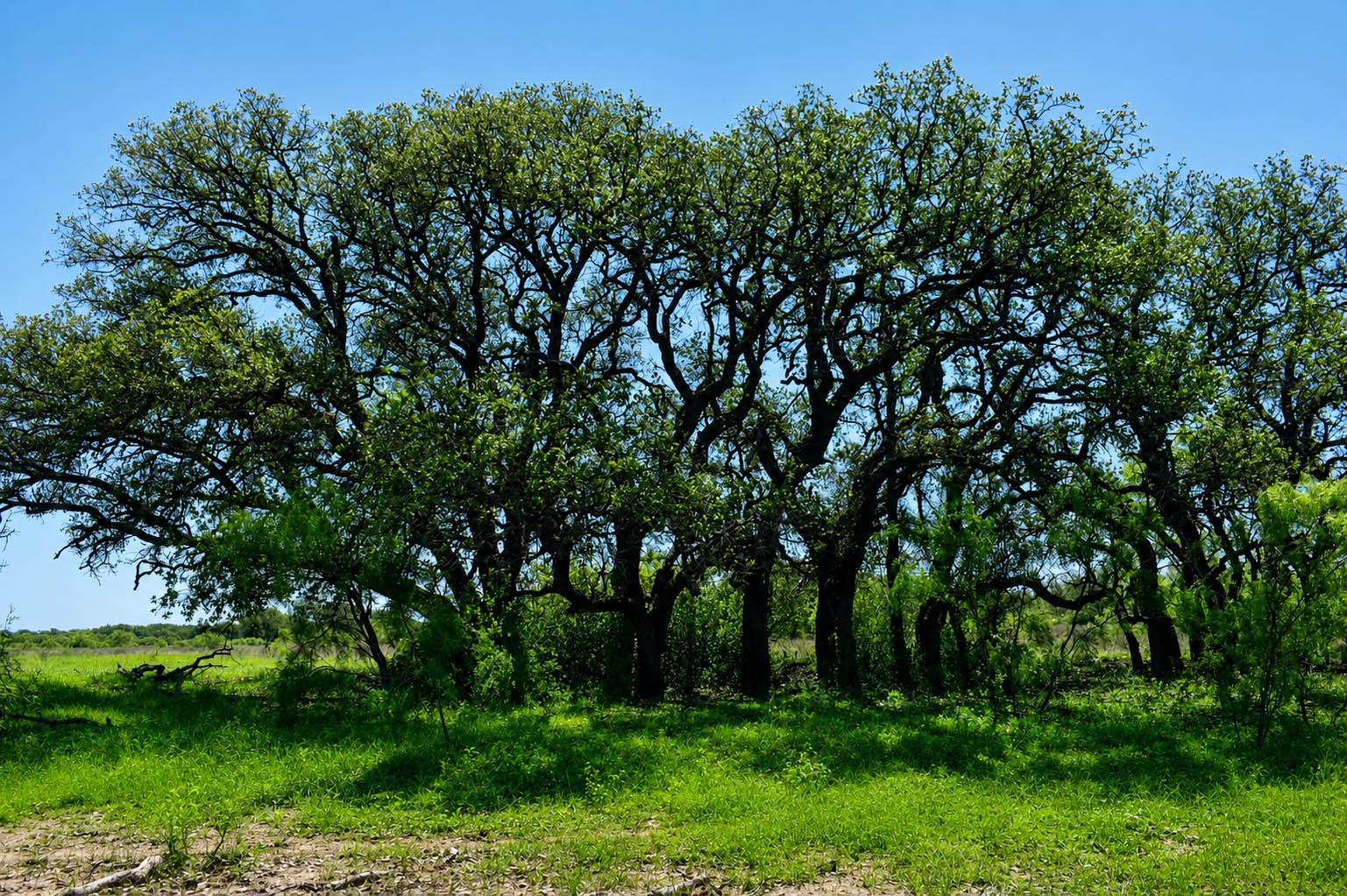 8228 Us Highway 377 Rochelle TX 76872