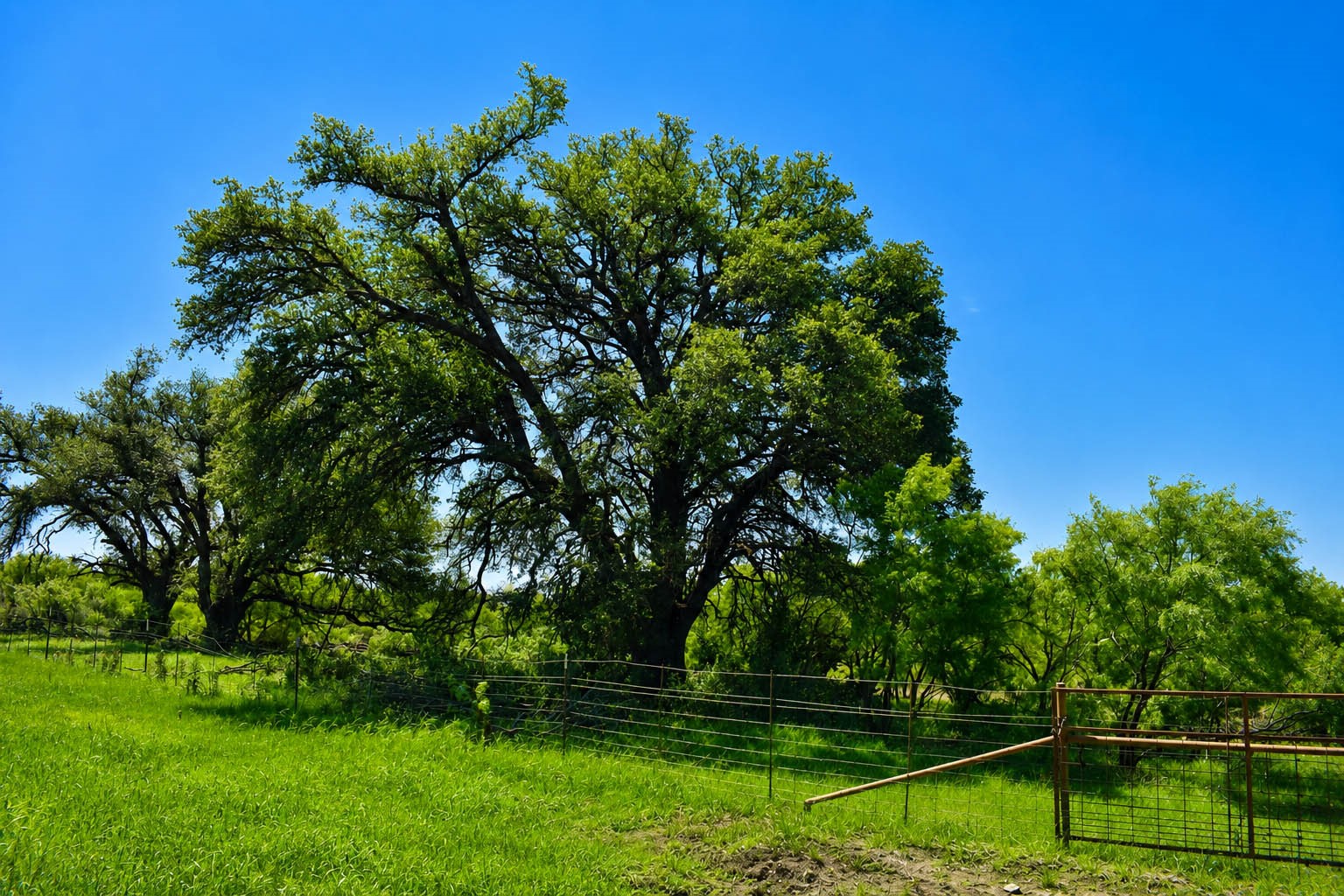 8228 Us Highway 377 Rochelle TX 76872