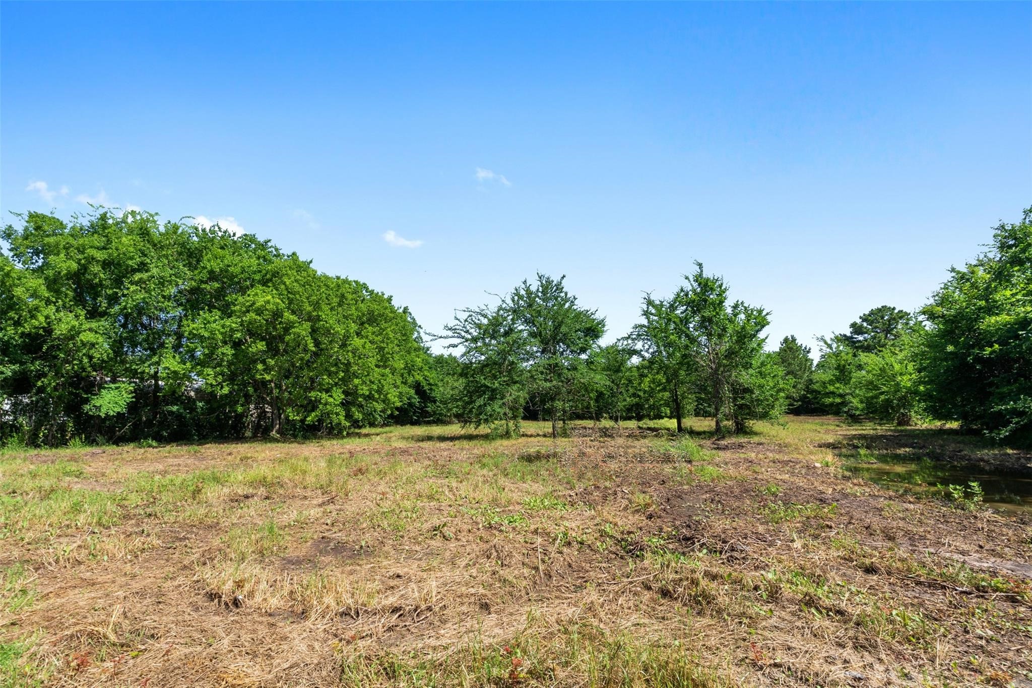 19930 Leisureland Road Payne Springs TX 75156
