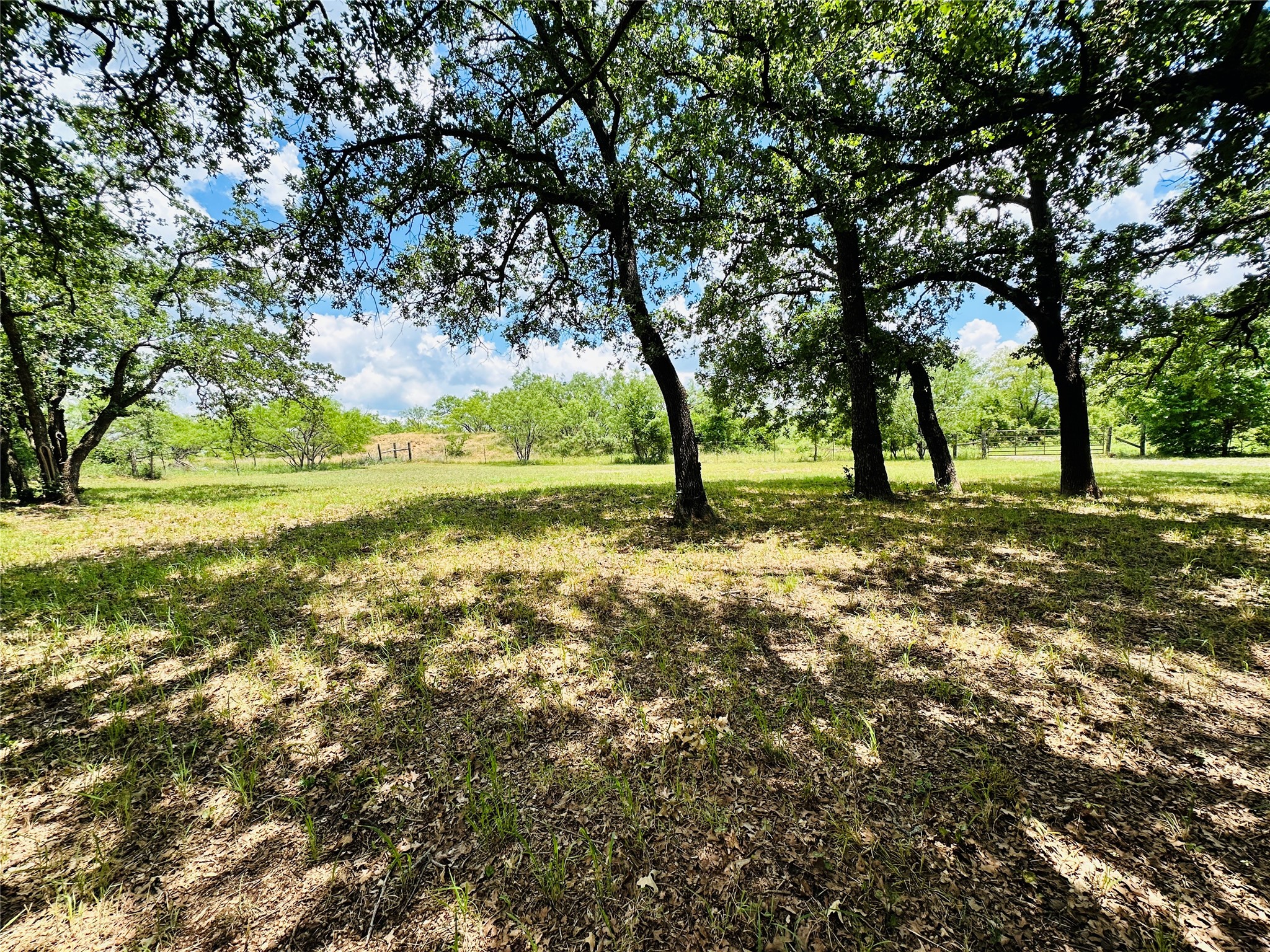 12264 County Road 404 Cross Plains TX 76443