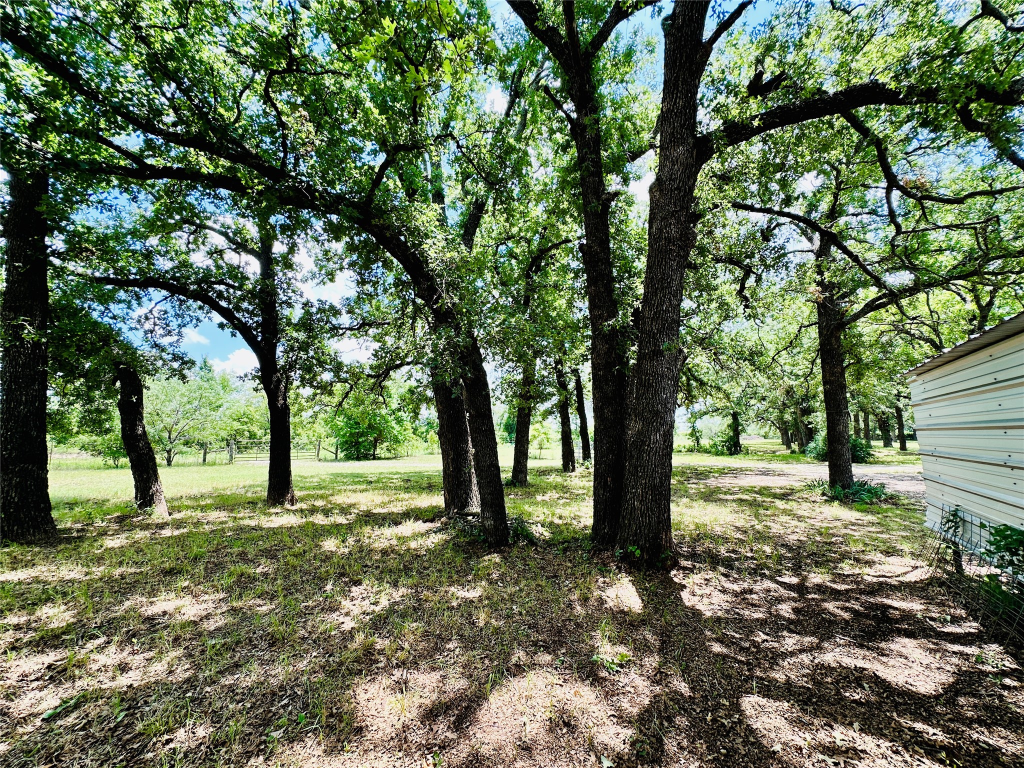 12264 County Road 404 Cross Plains TX 76443