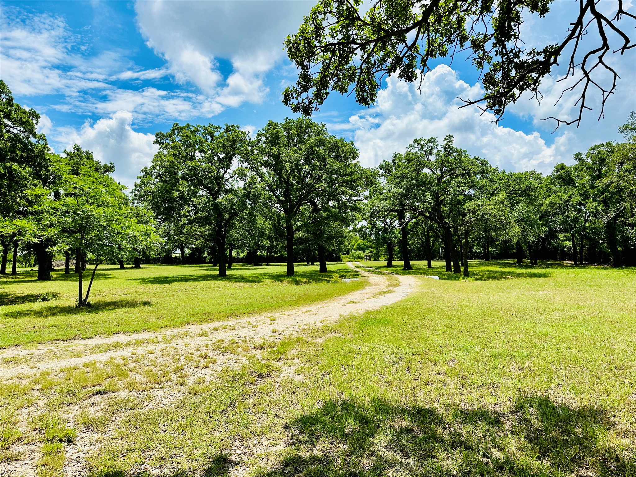 12264 County Road 404 Cross Plains TX 76443