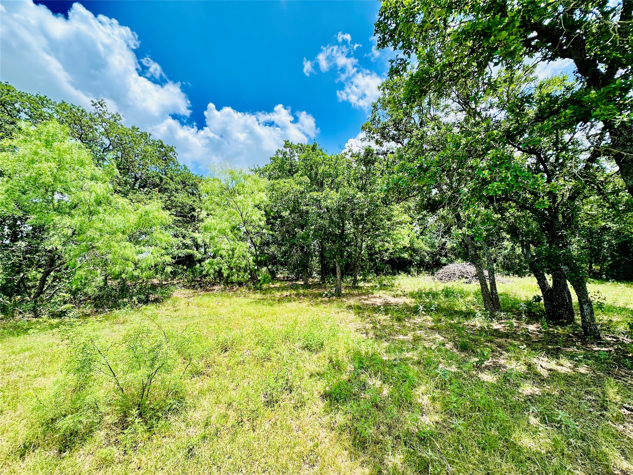 12264 County Road 404 Cross Plains TX 76443