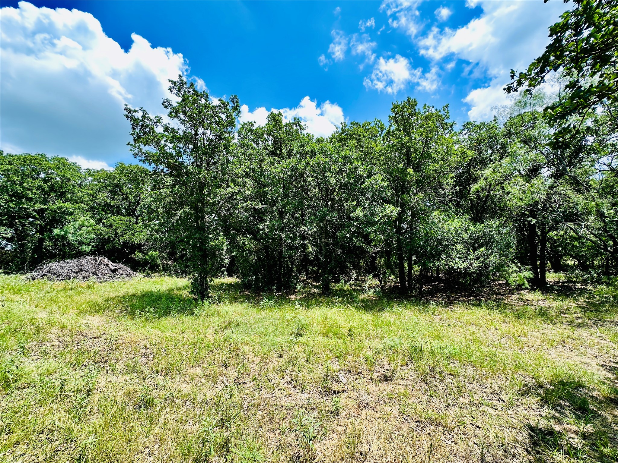 12264 County Road 404 Cross Plains TX 76443