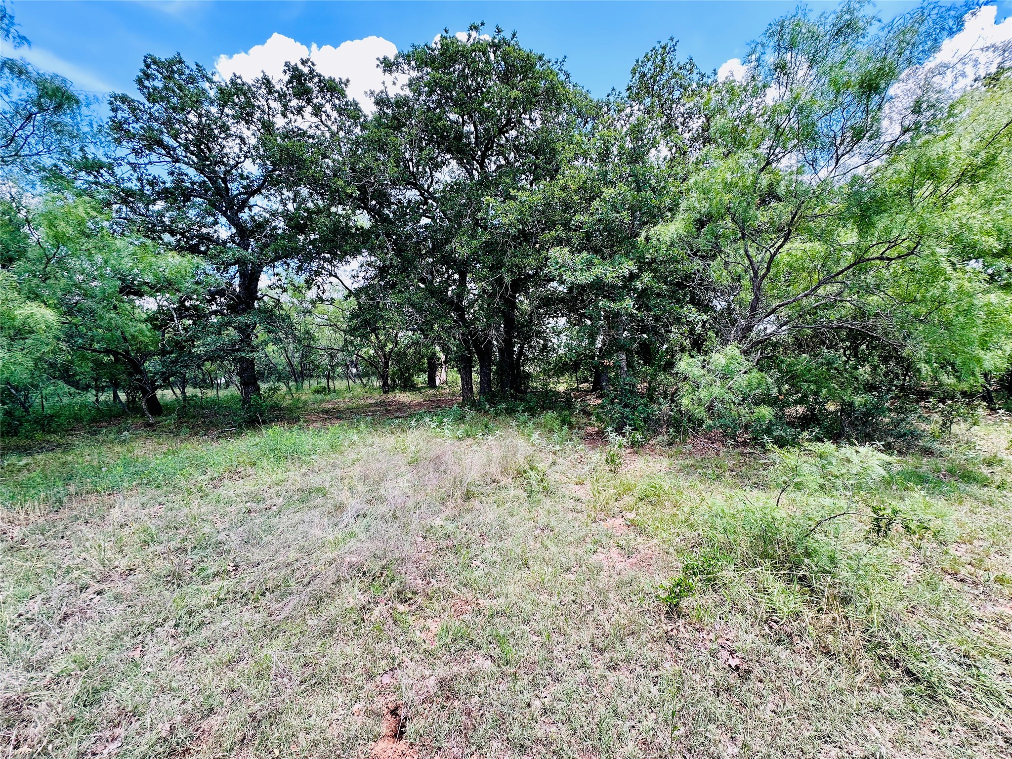 12264 County Road 404 Cross Plains TX 76443