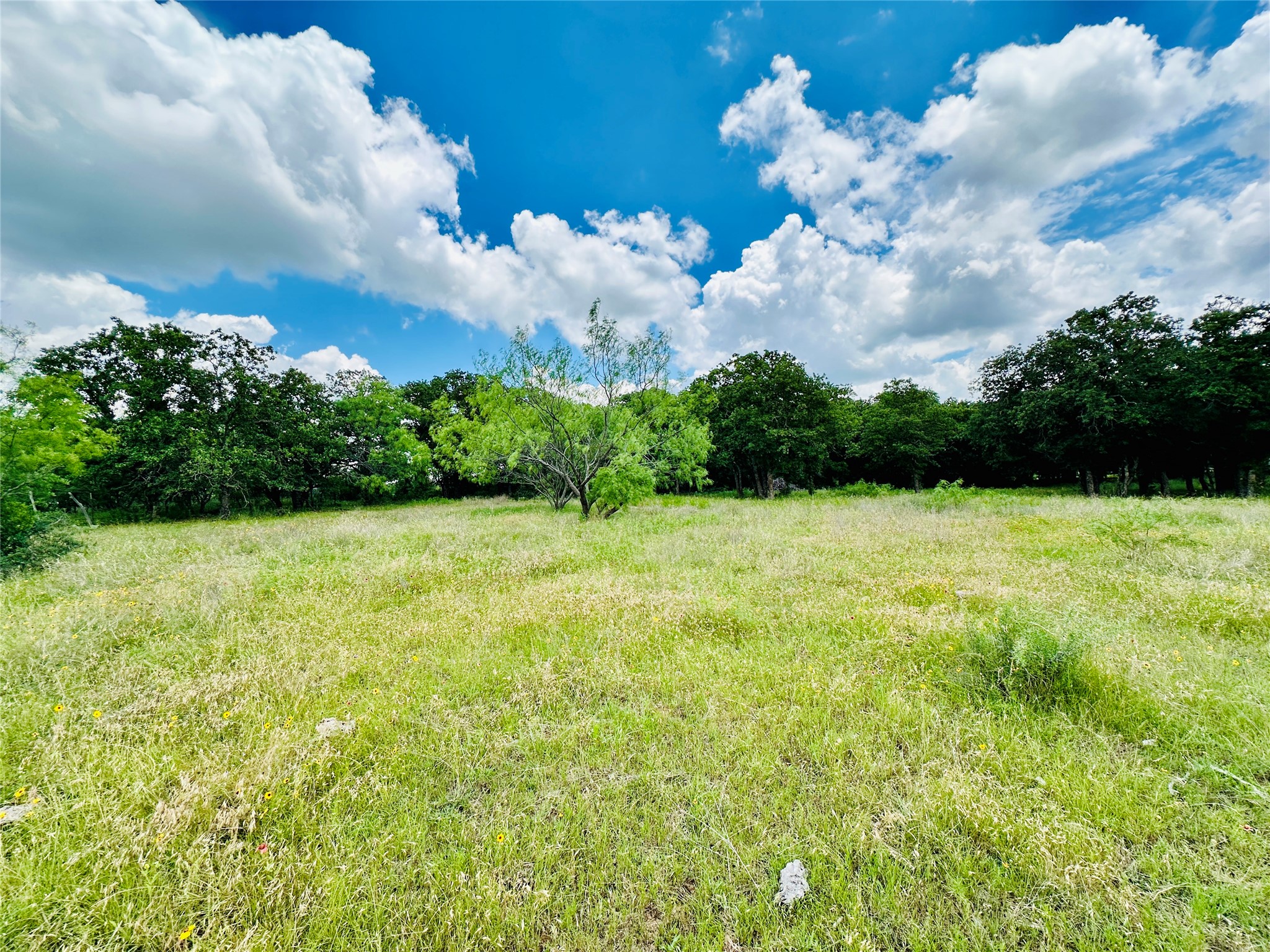 12264 County Road 404 Cross Plains TX 76443