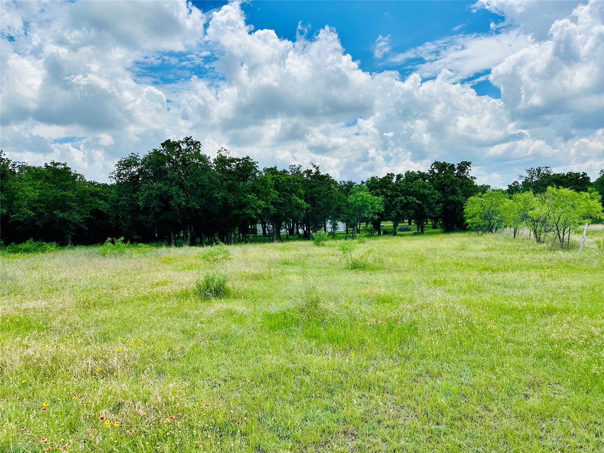 12264 County Road 404 Cross Plains TX 76443