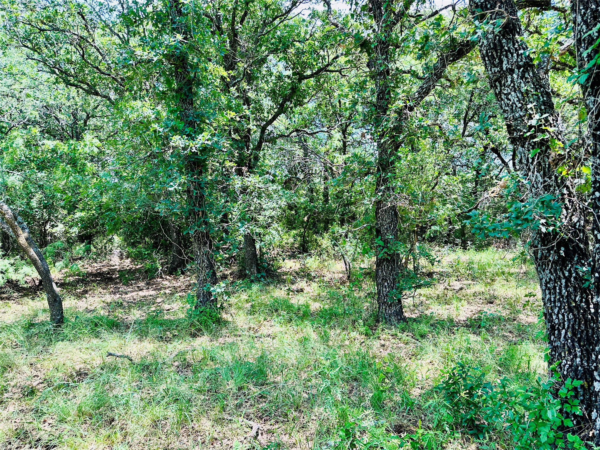 12264 County Road 404 Cross Plains TX 76443