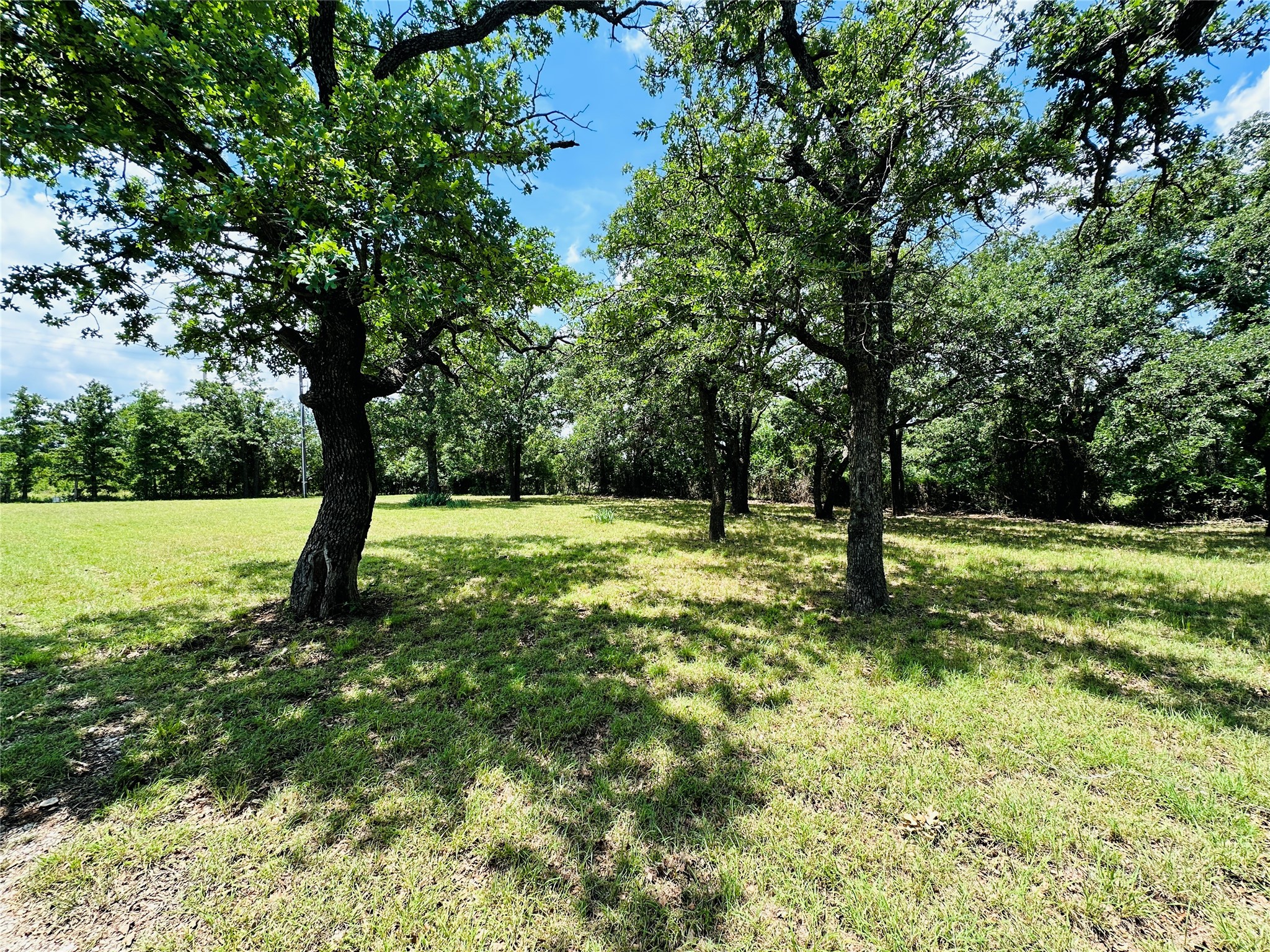 12264 County Road 404 Cross Plains TX 76443