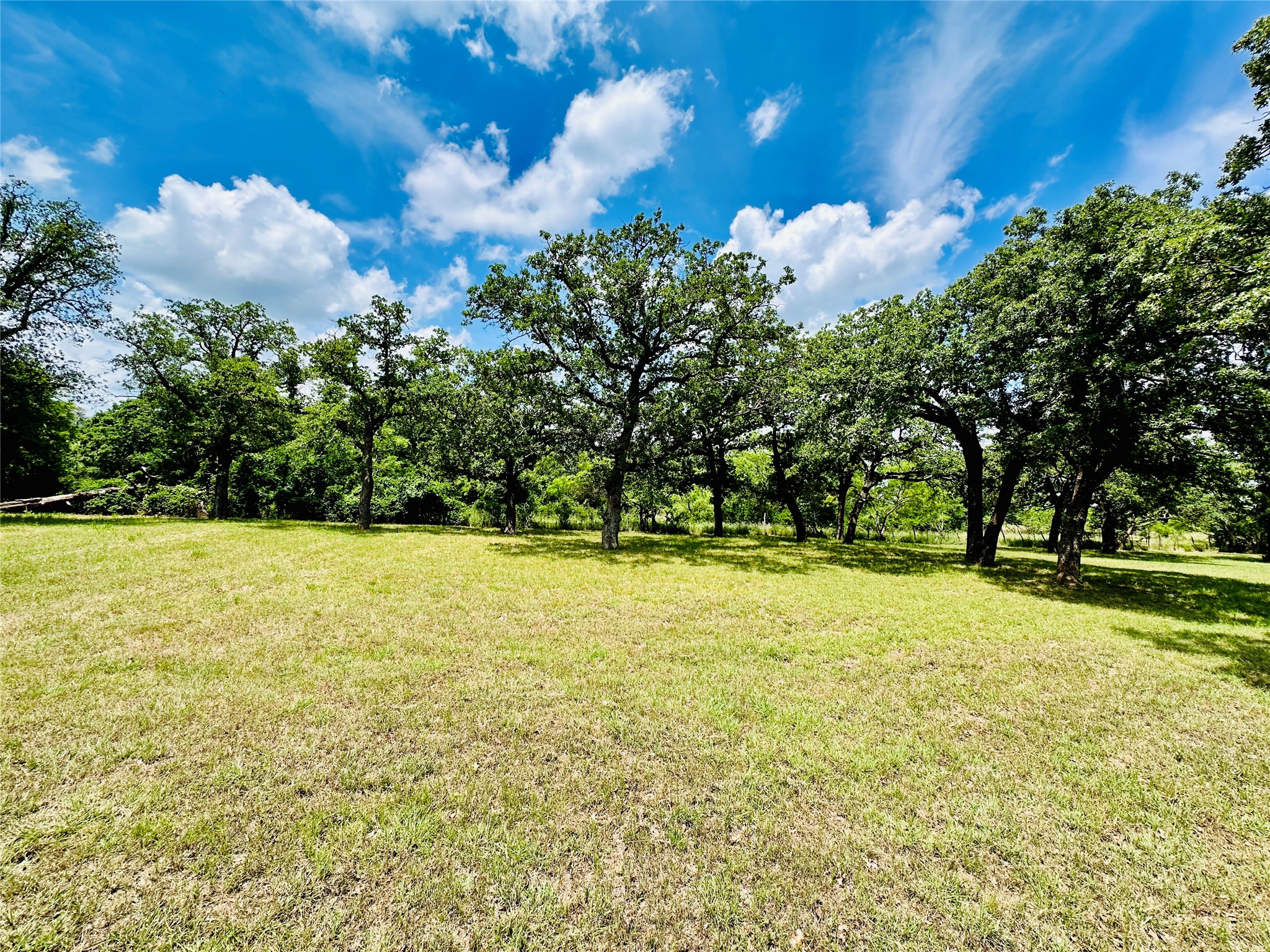 12264 County Road 404 Cross Plains TX 76443
