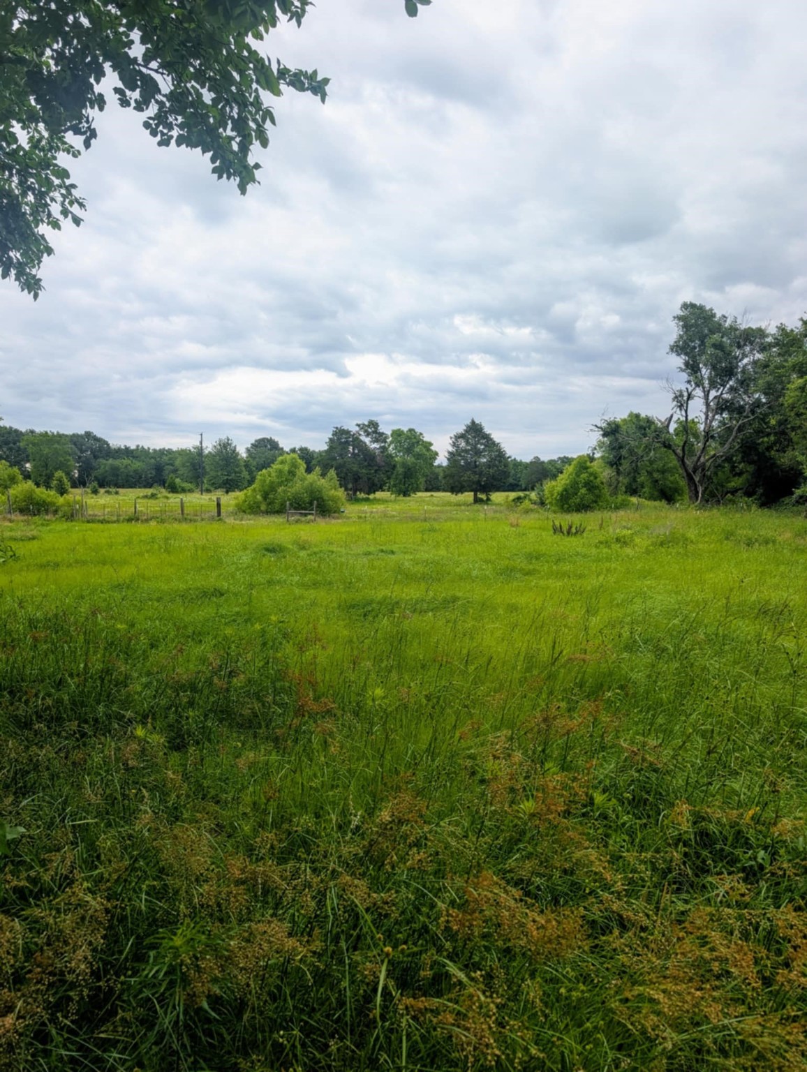 400 Vz County Road 2815 Mabank TX 75147