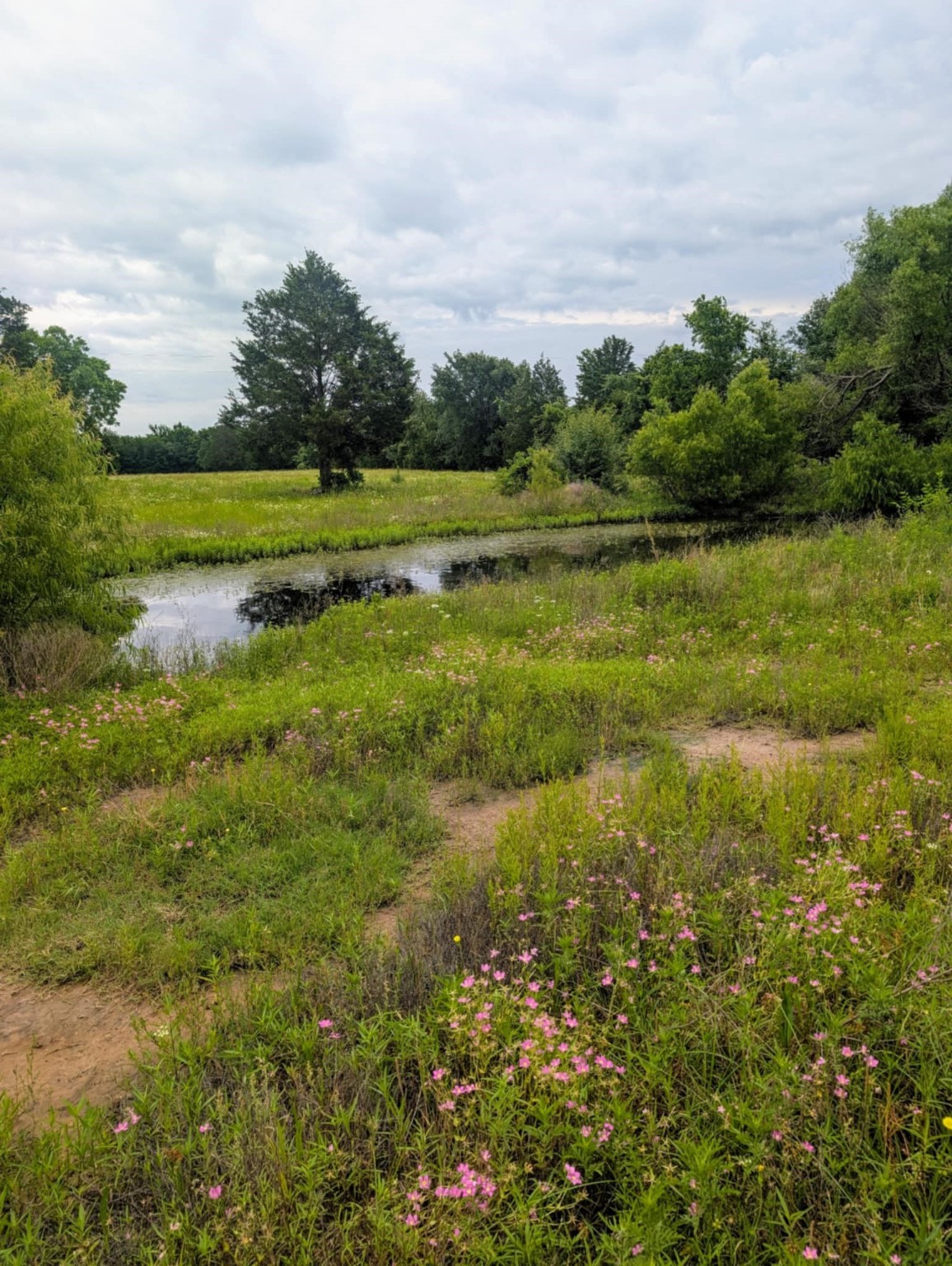 400 Vz County Road 2815 Mabank TX 75147