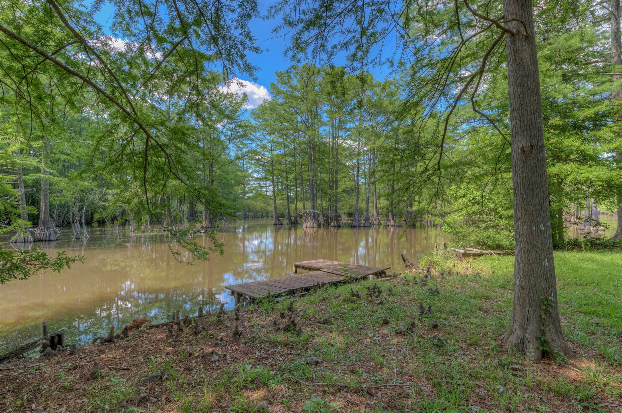 8218 S Lakeshore Drive Shreveport LA 71119