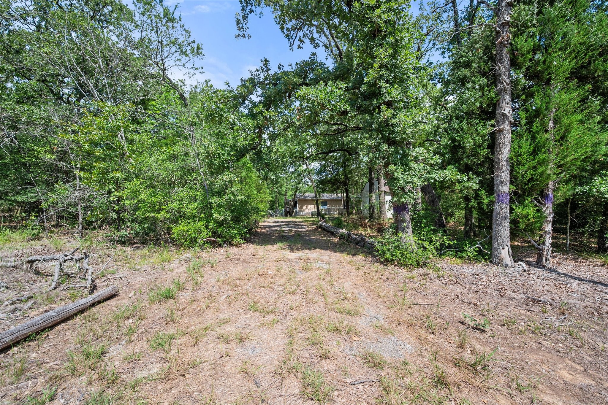 14551 Butch Cassidy Drive Log Cabin TX 75148