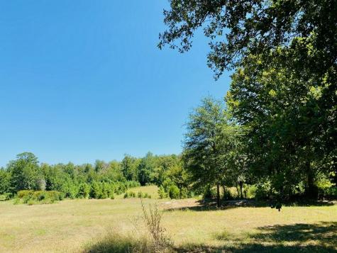 13701 N Us Highway 79 Highway Palestine TX 75801
