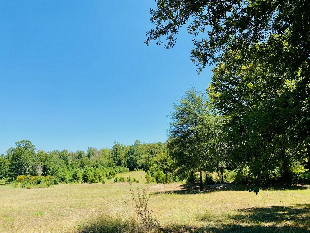 13701 N Us Highway 79 Highway Palestine TX 75801