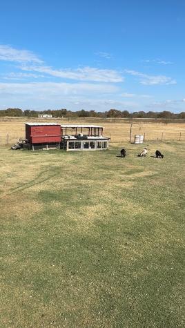 1487 Vz County Road 3808 Wills Point TX 75169