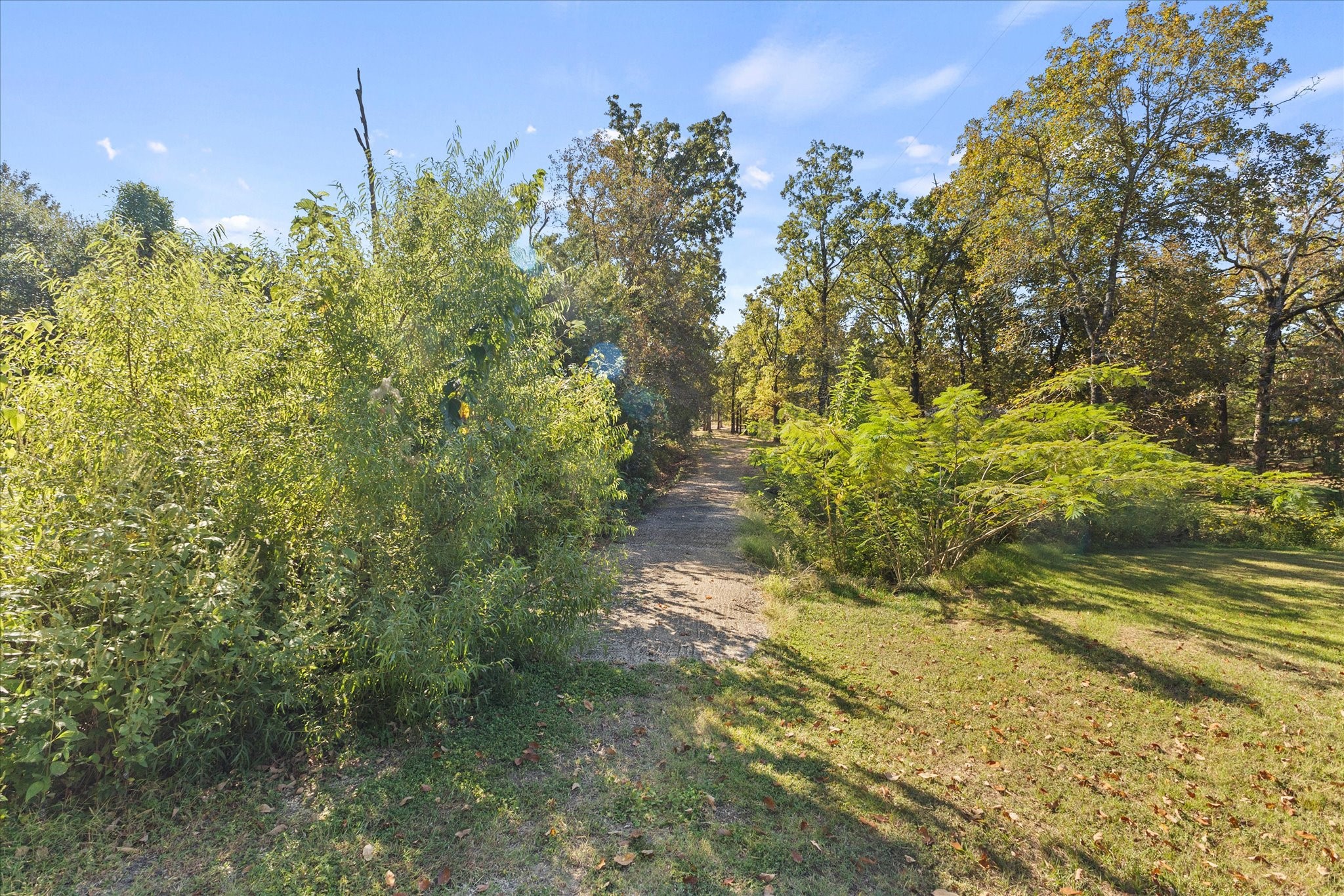 18539 Fm 17 Canton TX 75103
