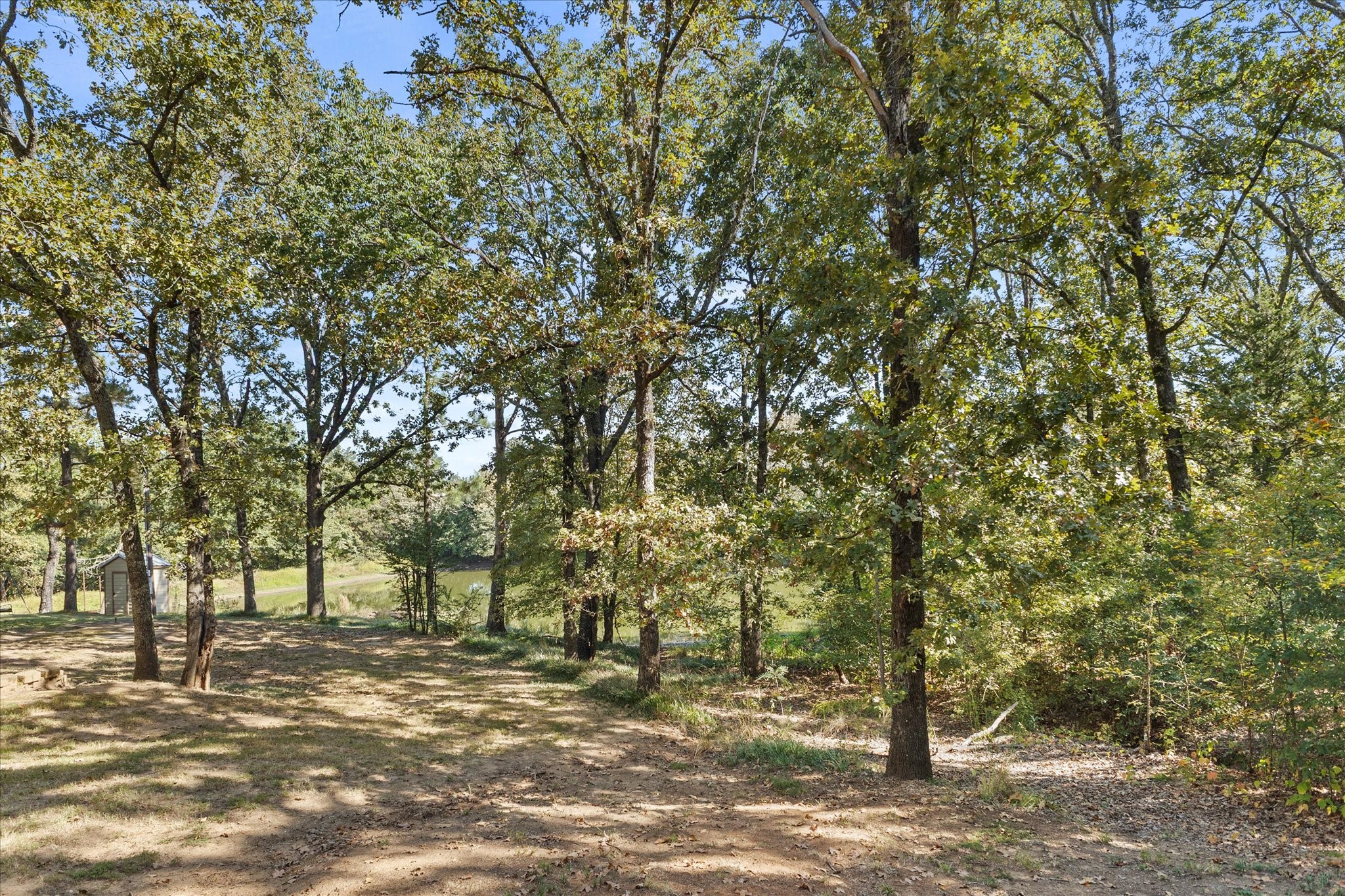 18539 Fm 17 Canton TX 75103
