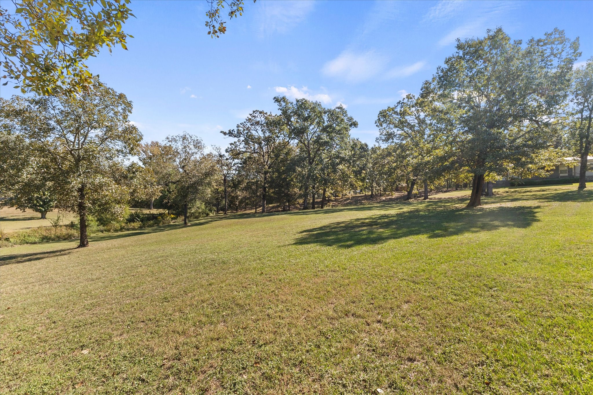 18539 Fm 17 Canton TX 75103