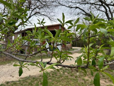 12146 County Road 105 Brownwood TX 76801