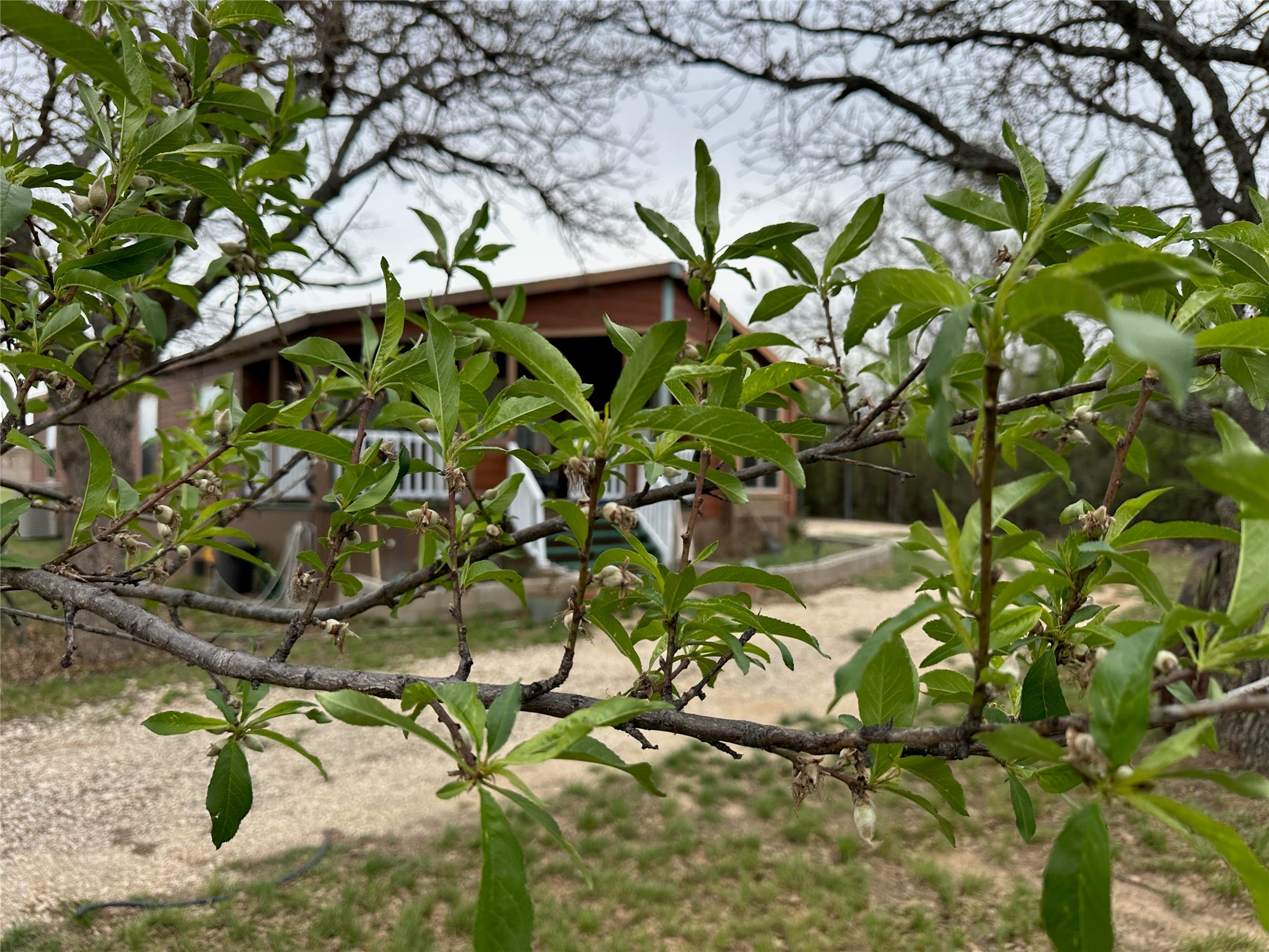 12146 County Road 105 Brownwood TX 76801