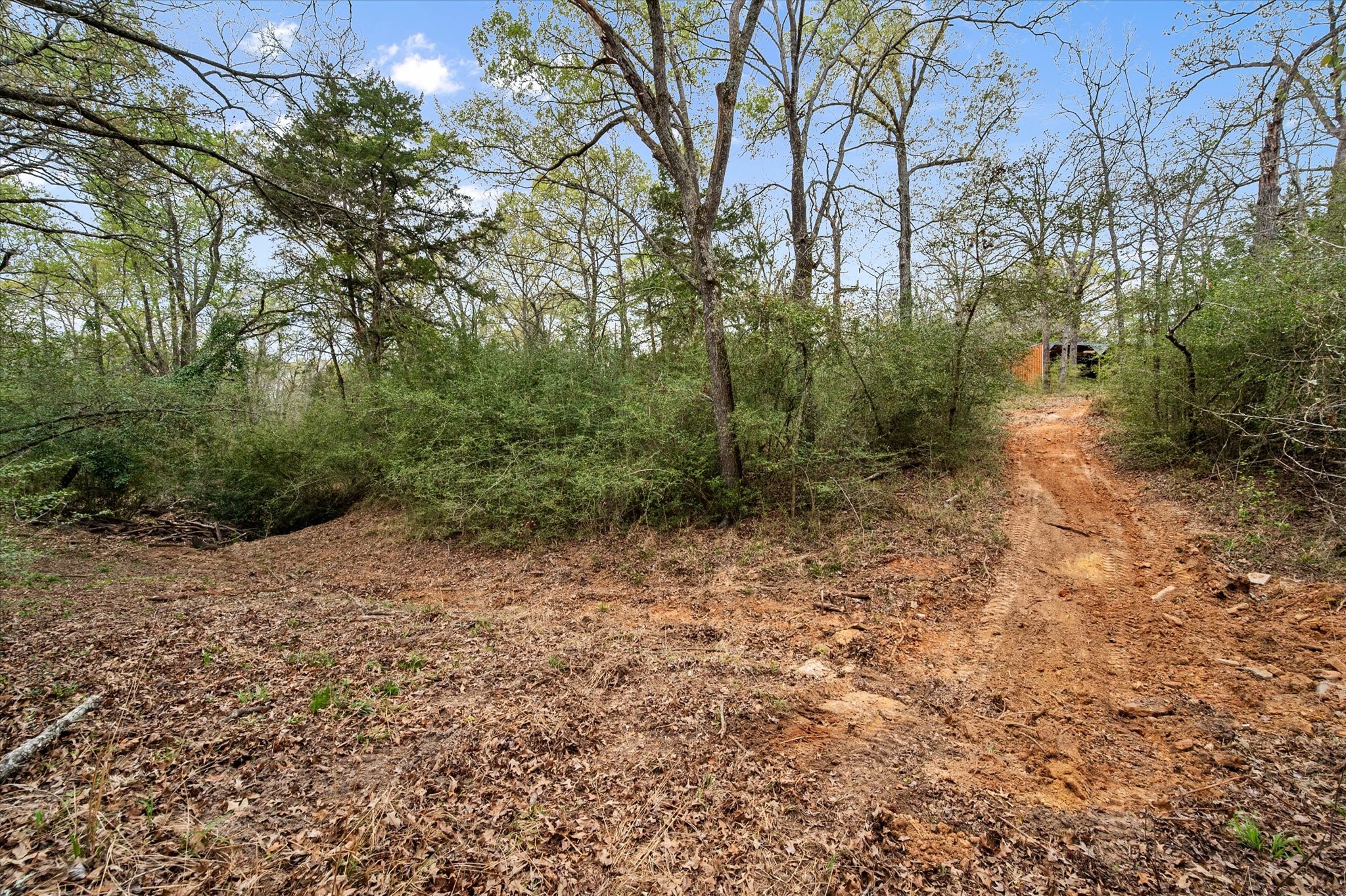 2144 Pr 3015 Buffalo TX 75831