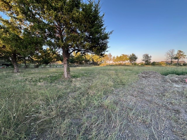 2493 Live Oak Princeton TX 75407