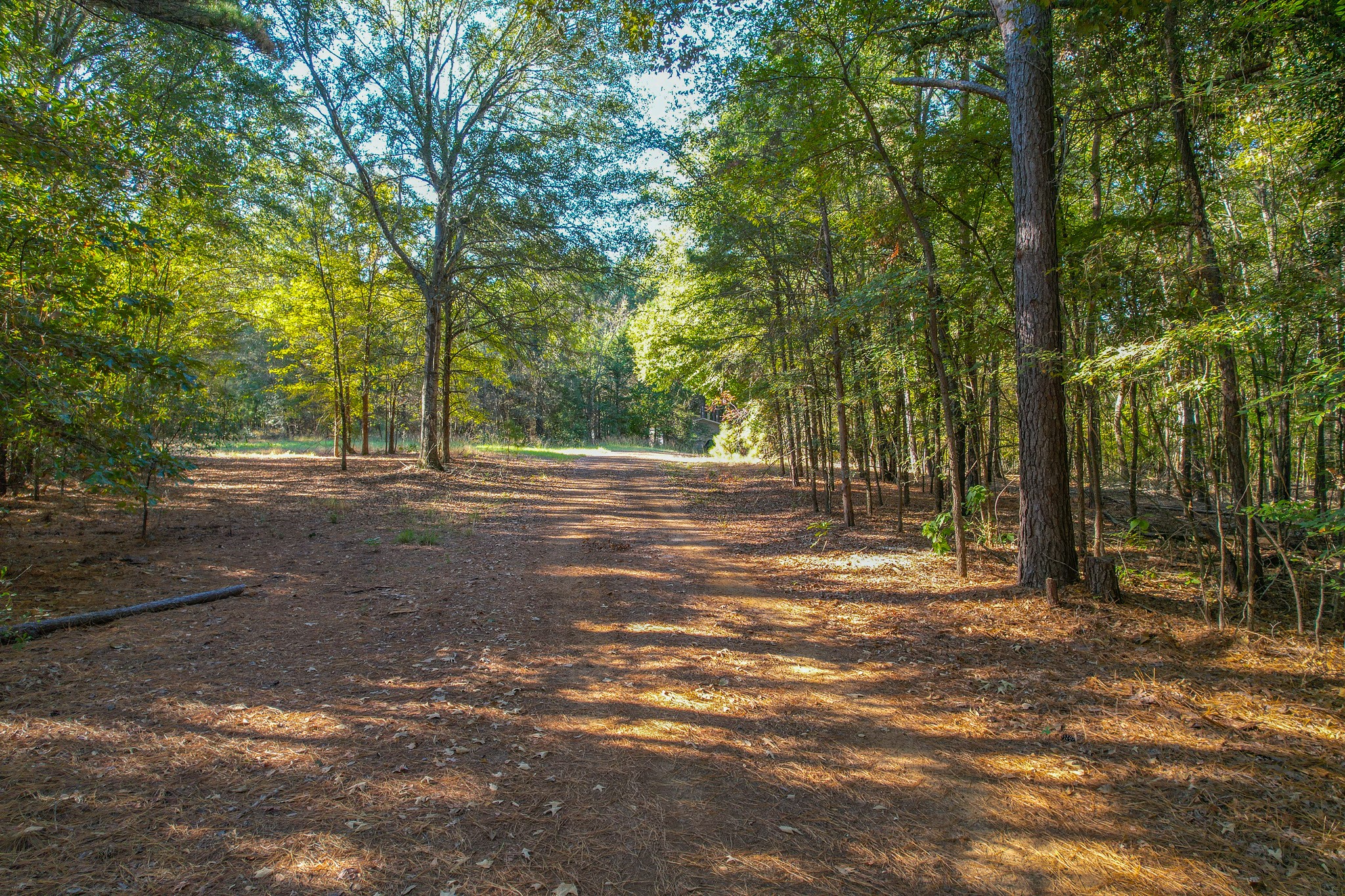 0 County Road 3409 Chandler TX 75758