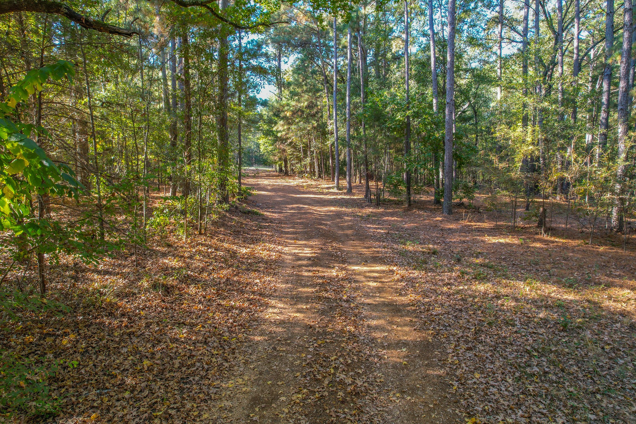 0 County Road 3409 Chandler TX 75758