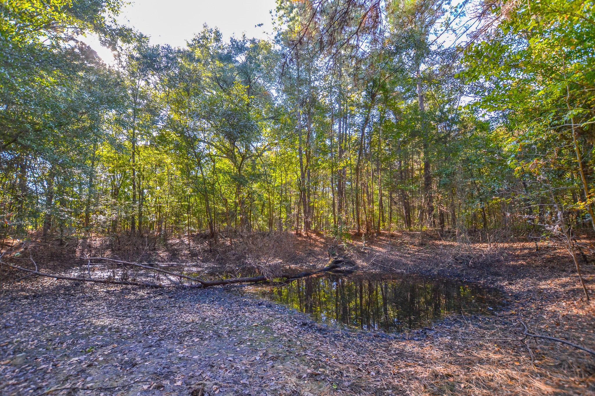 0 County Road 3409 Chandler TX 75758