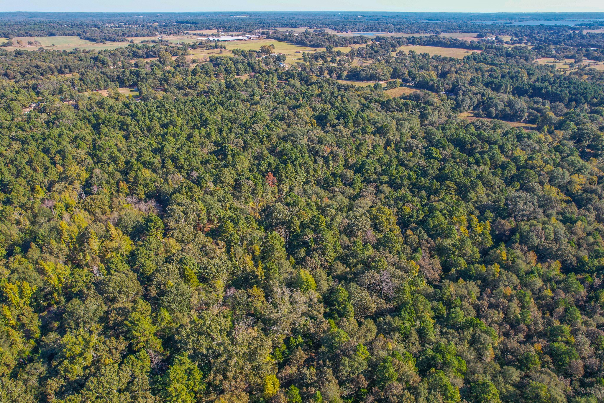 0 County Road 3409 Chandler TX 75758