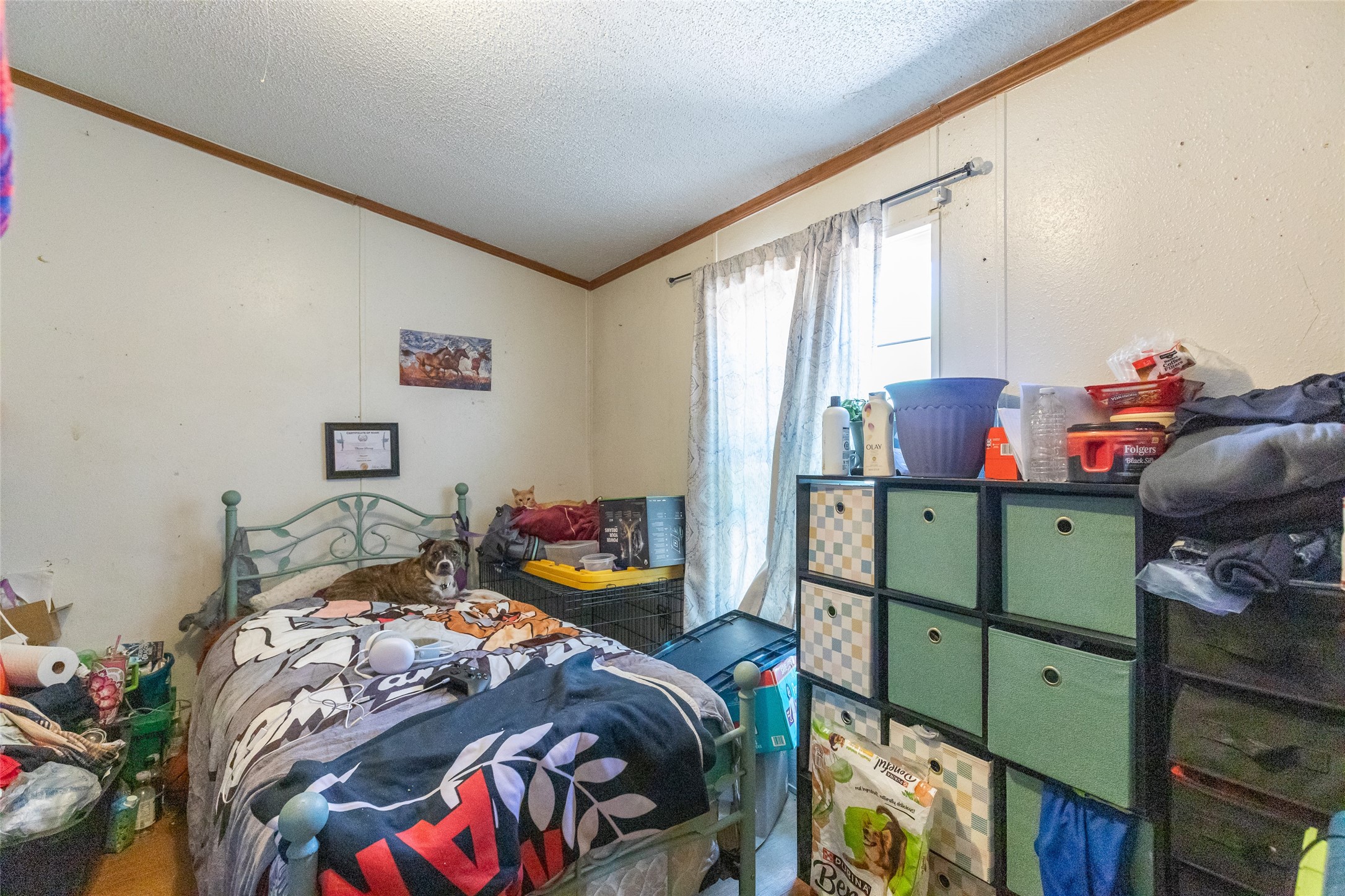 4045 Sue Ellen Drive Abilene TX 79601