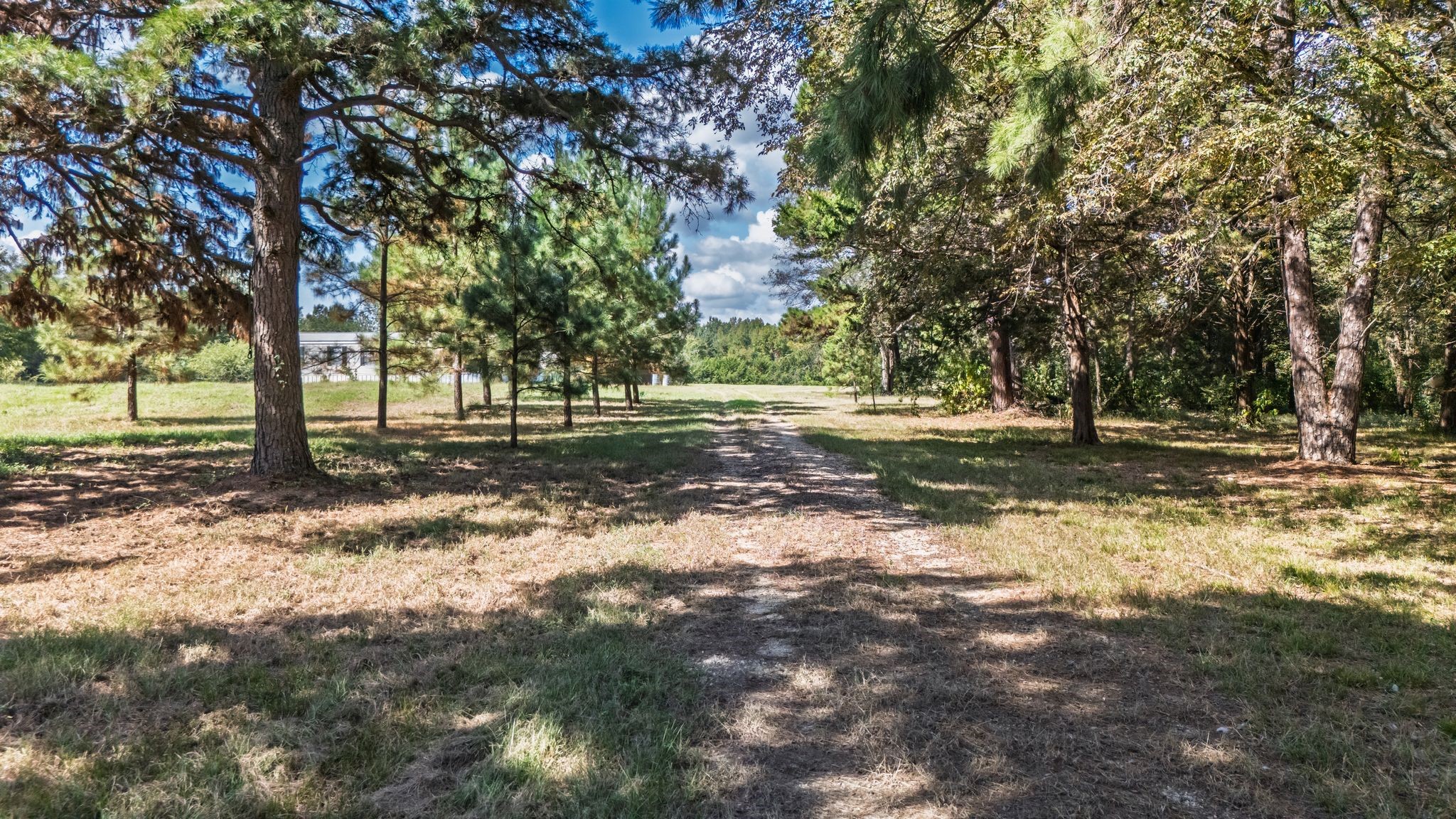 853 County Road 2730 Pittsburg TX 75686