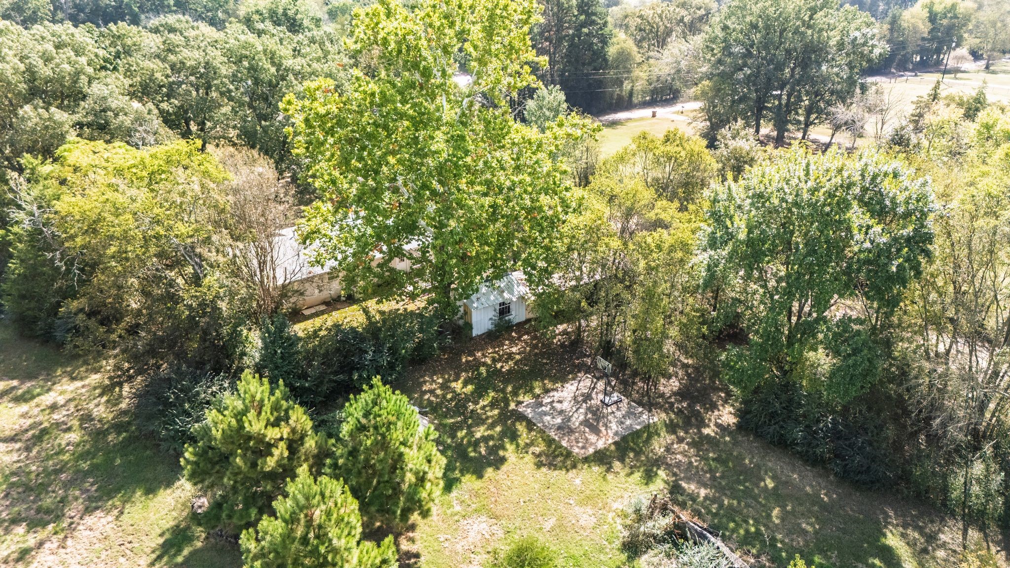 853 County Road 2730 Pittsburg TX 75686