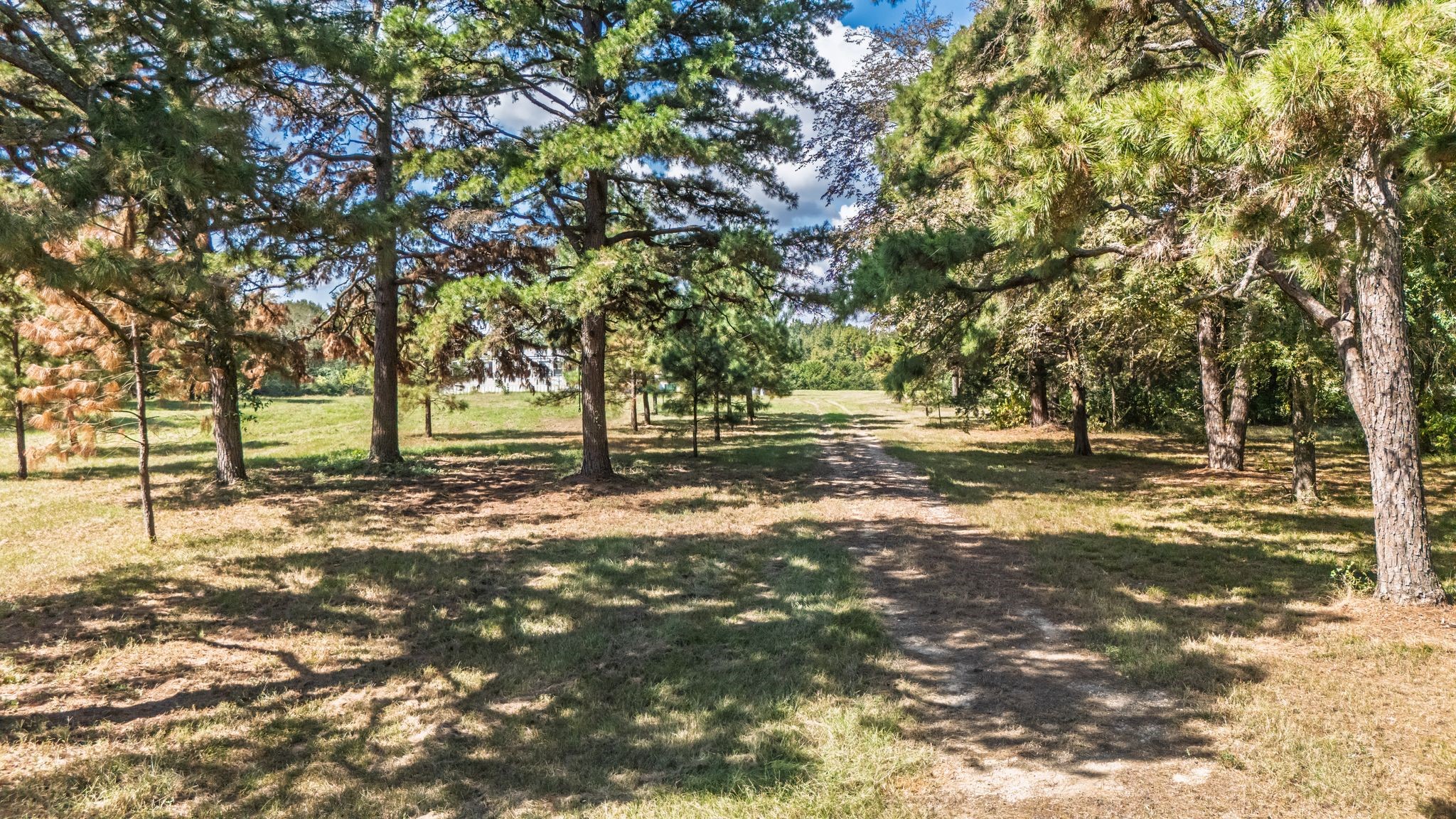 853 County Road 2730 Pittsburg TX 75686