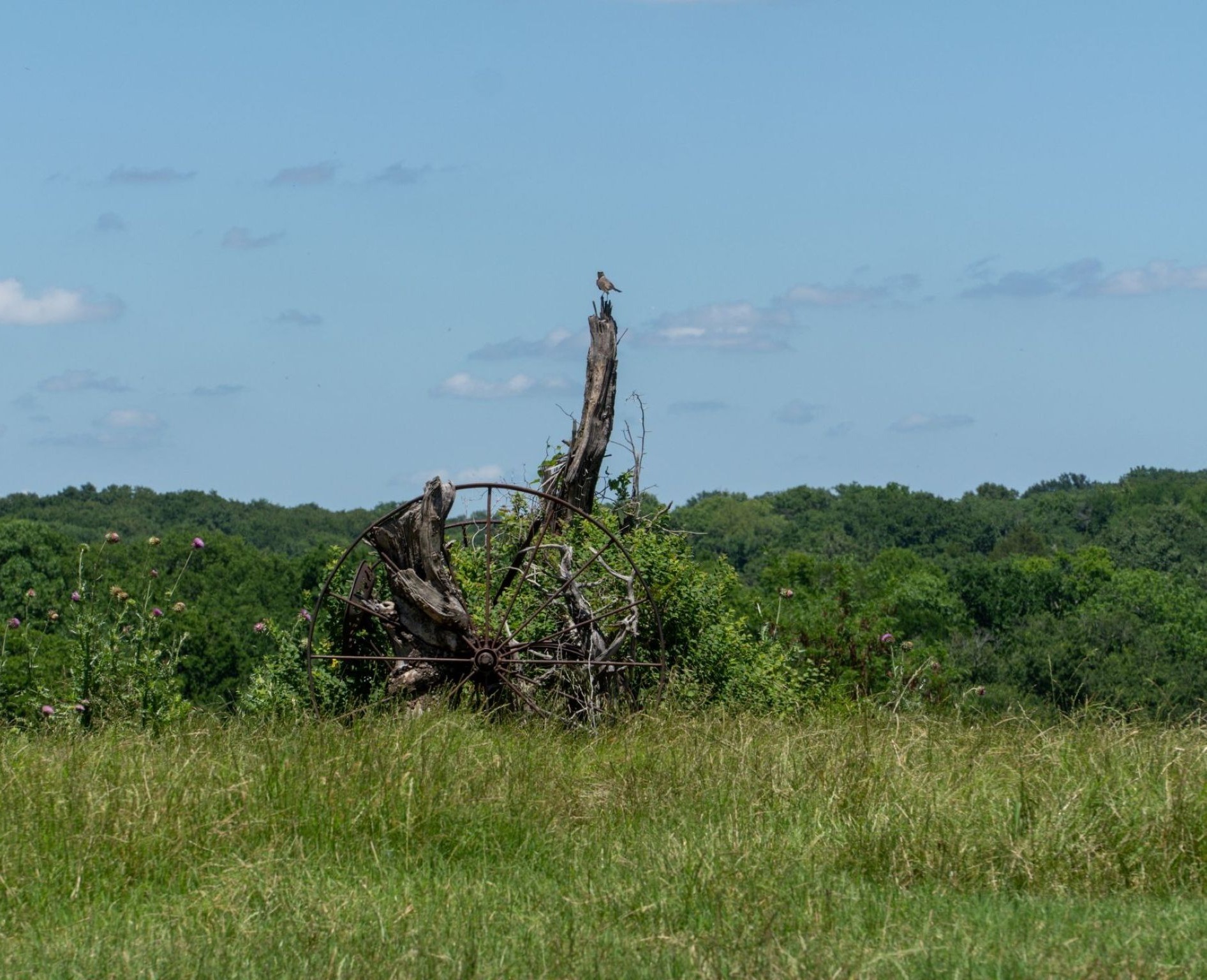 248 -Shaffer Road Denison TX 75021
