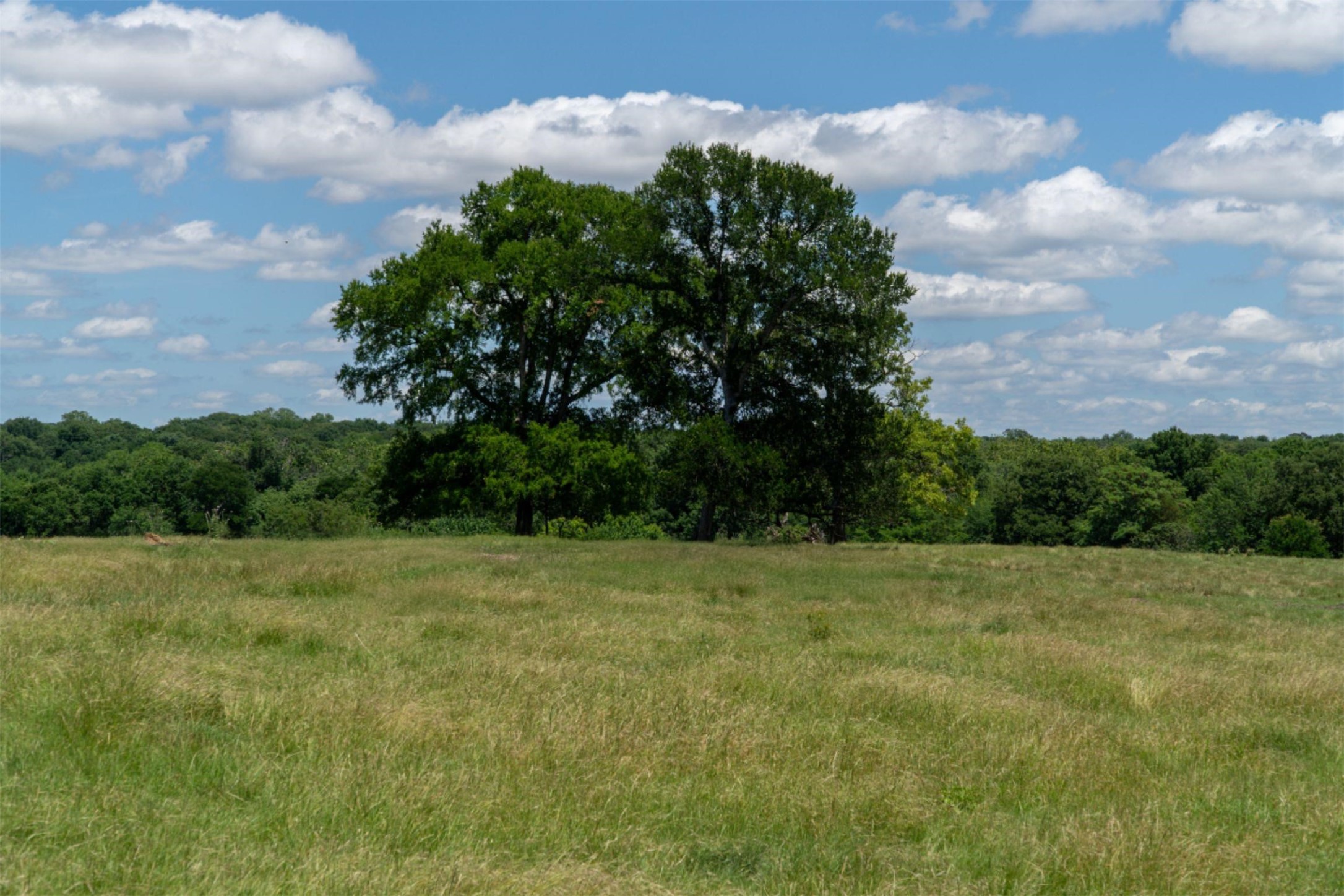 248 -Shaffer Road Denison TX 75021