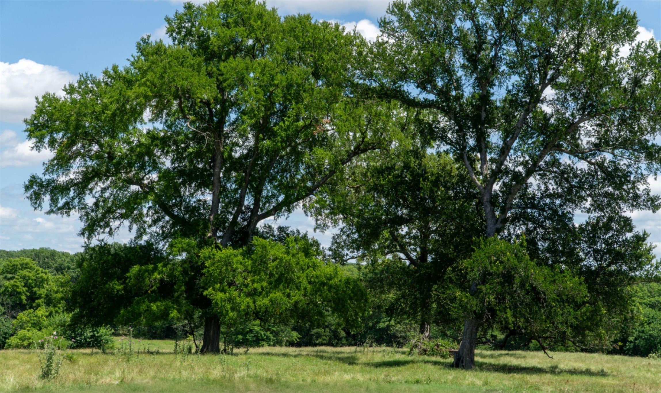 248 -Shaffer Road Denison TX 75021