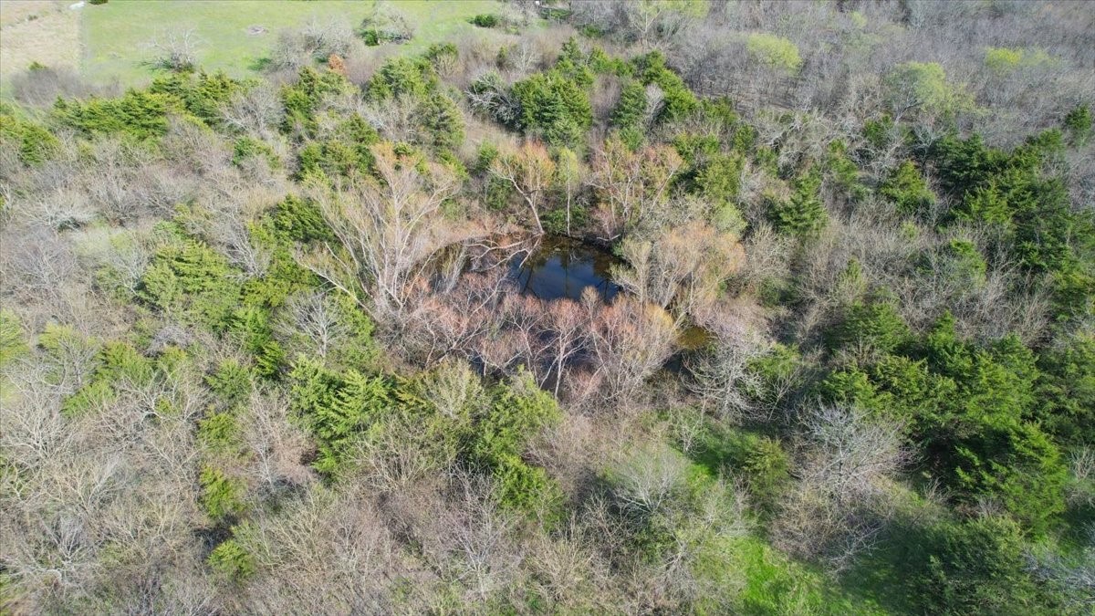 1528 County Road 697 Farmersville TX 75442