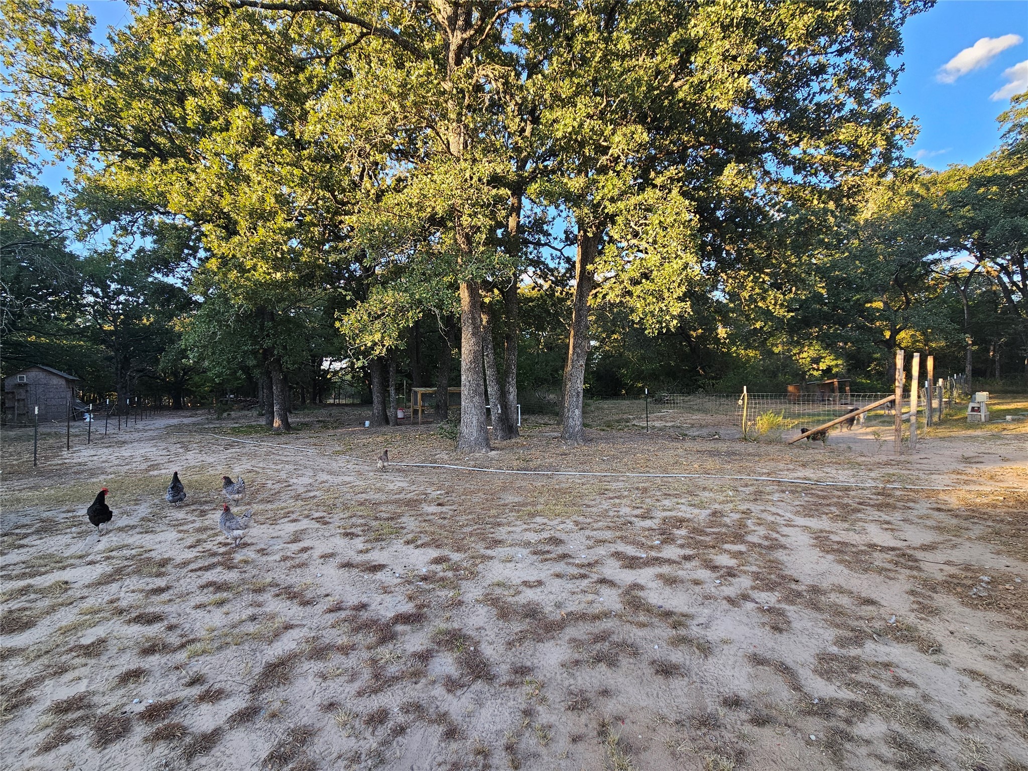 220 Pr 5374 Groesbeck TX 76642