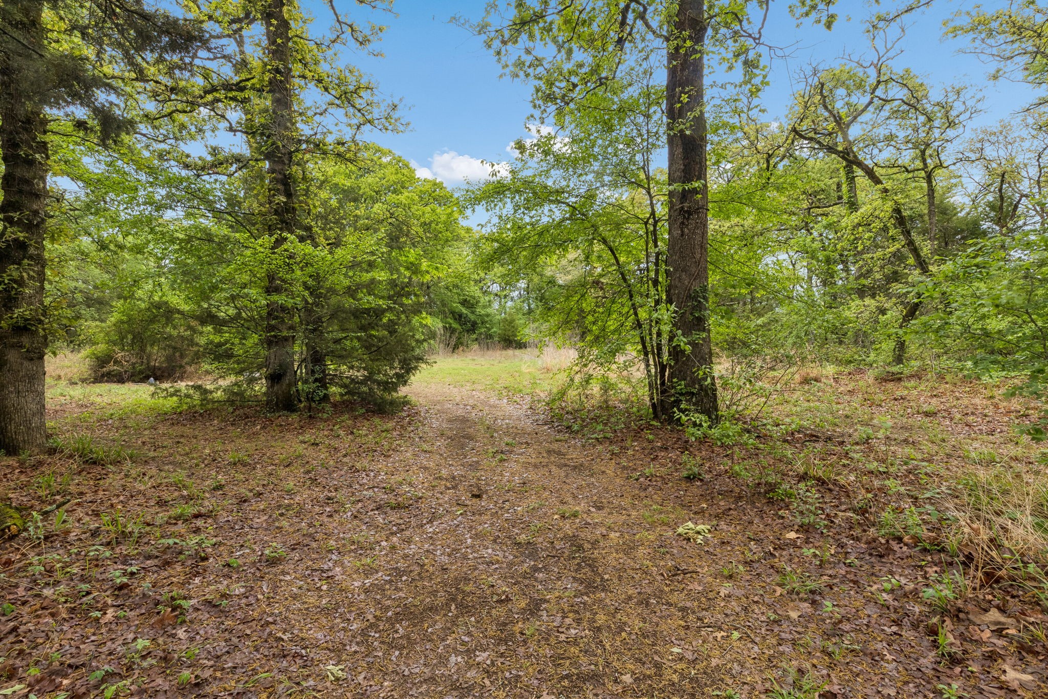 671 Vz County Road 2503 Canton TX 75103