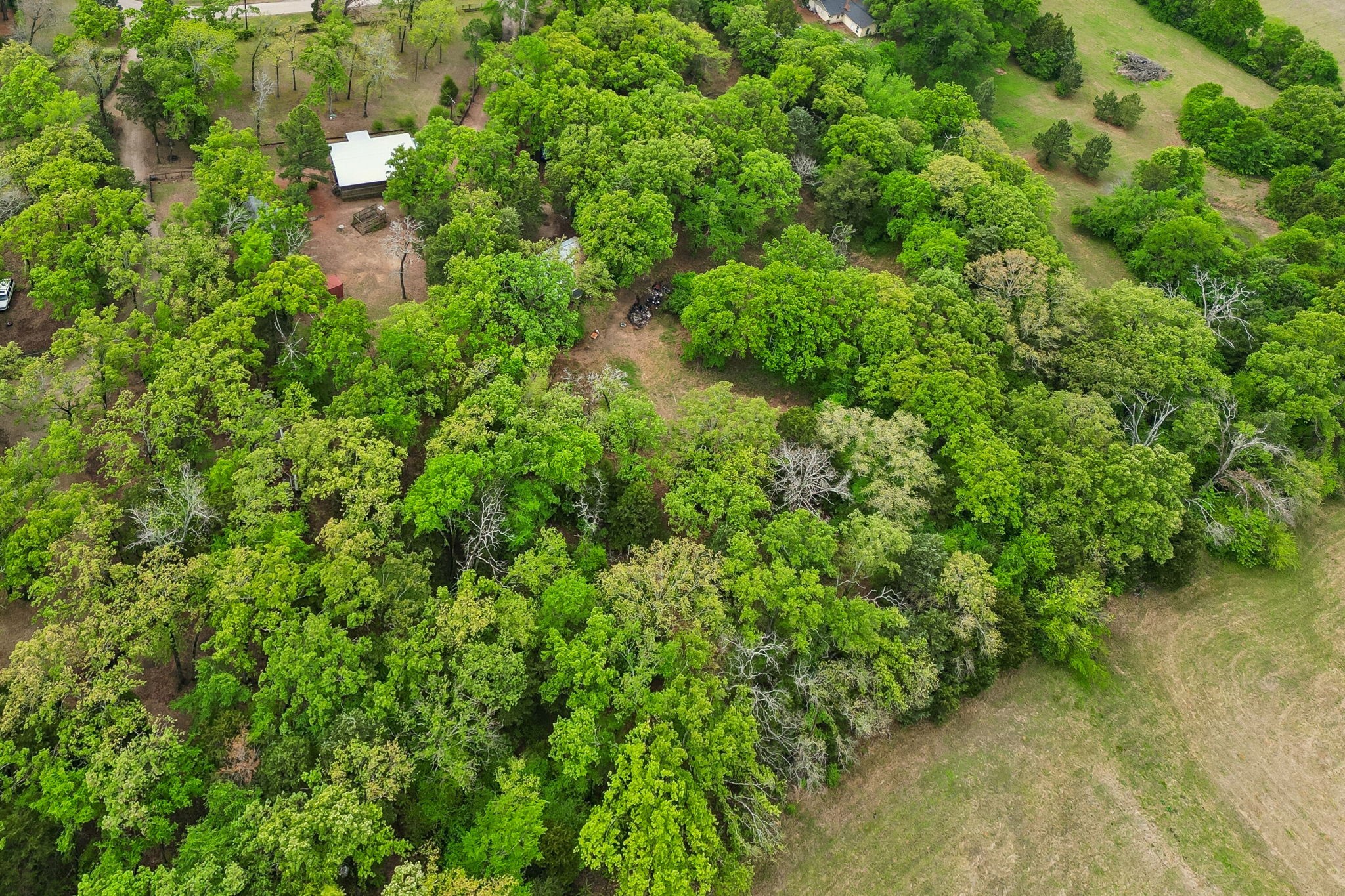 671 Vz County Road 2503 Canton TX 75103